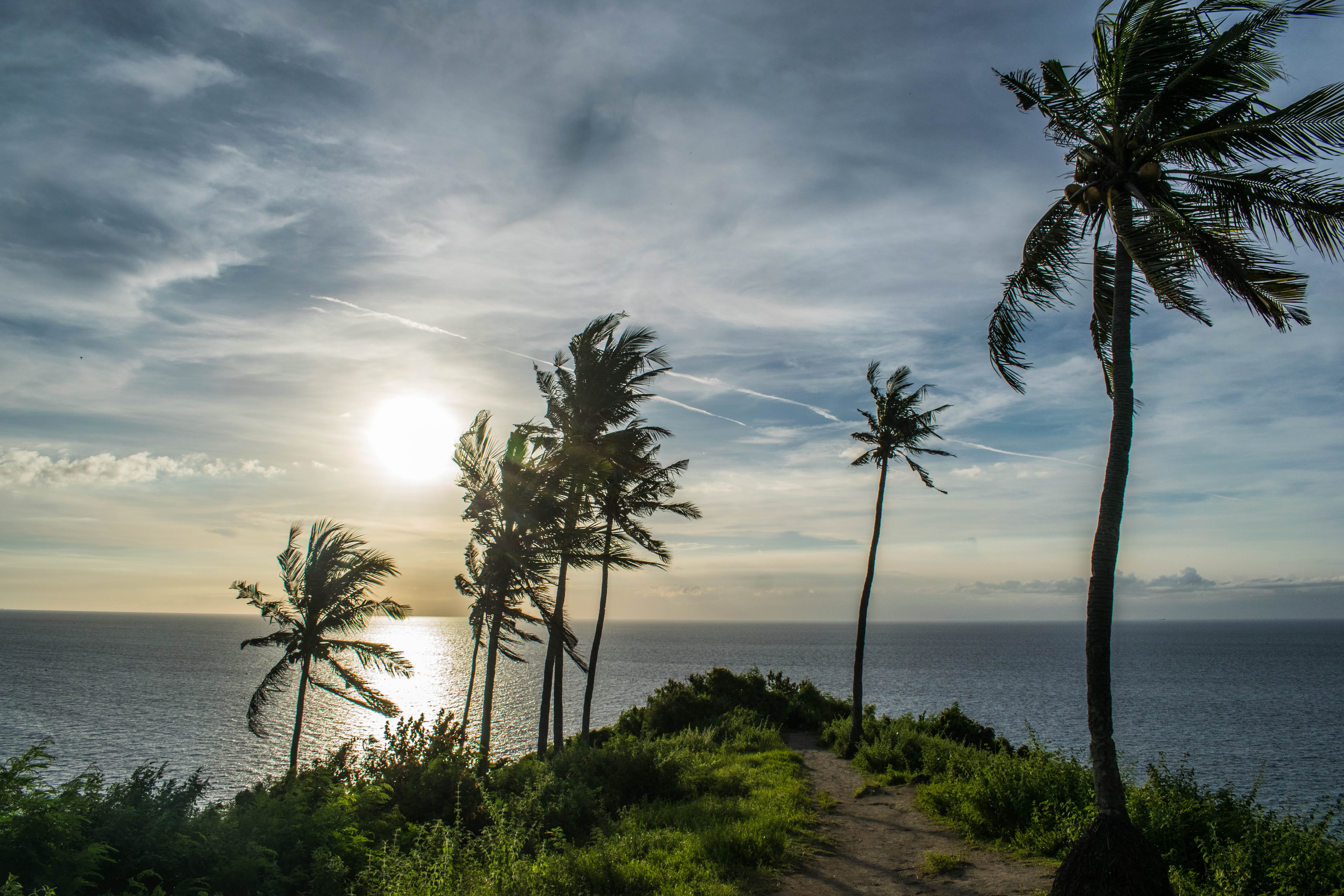 island, sea, lombok, no people, tropical climate, palm tree, plant, outdoors, tranquility, palmera, palm, sunlight, scenics - nature, coconut, land, horizon over water, HD Wallpaper