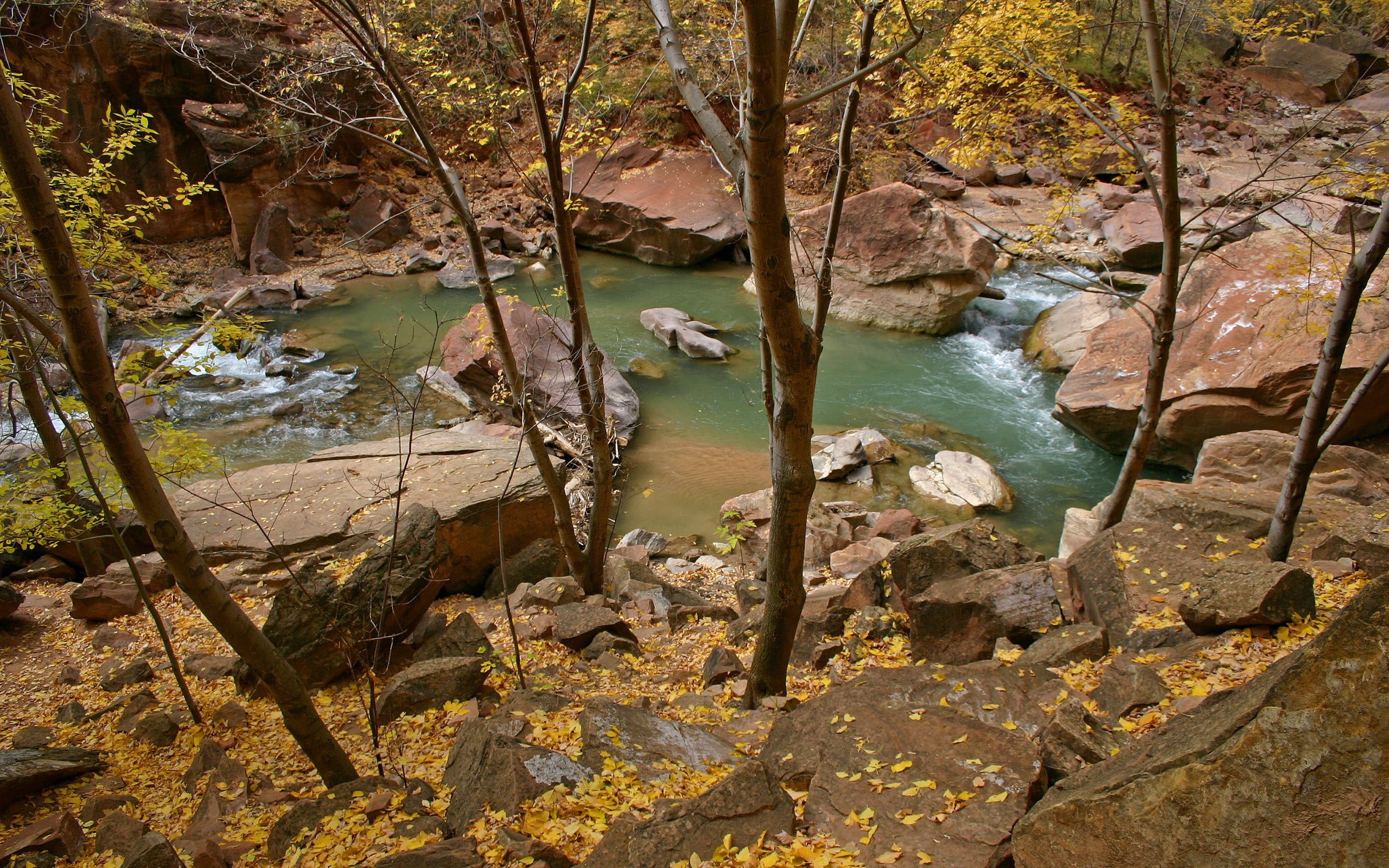 2K, rock formation, river, plant, solid, flowing, rock - object, bow, water, tree, tranquil scene, no people, day, rock, landscape, compound, non-urban scene, HD Wallpaper