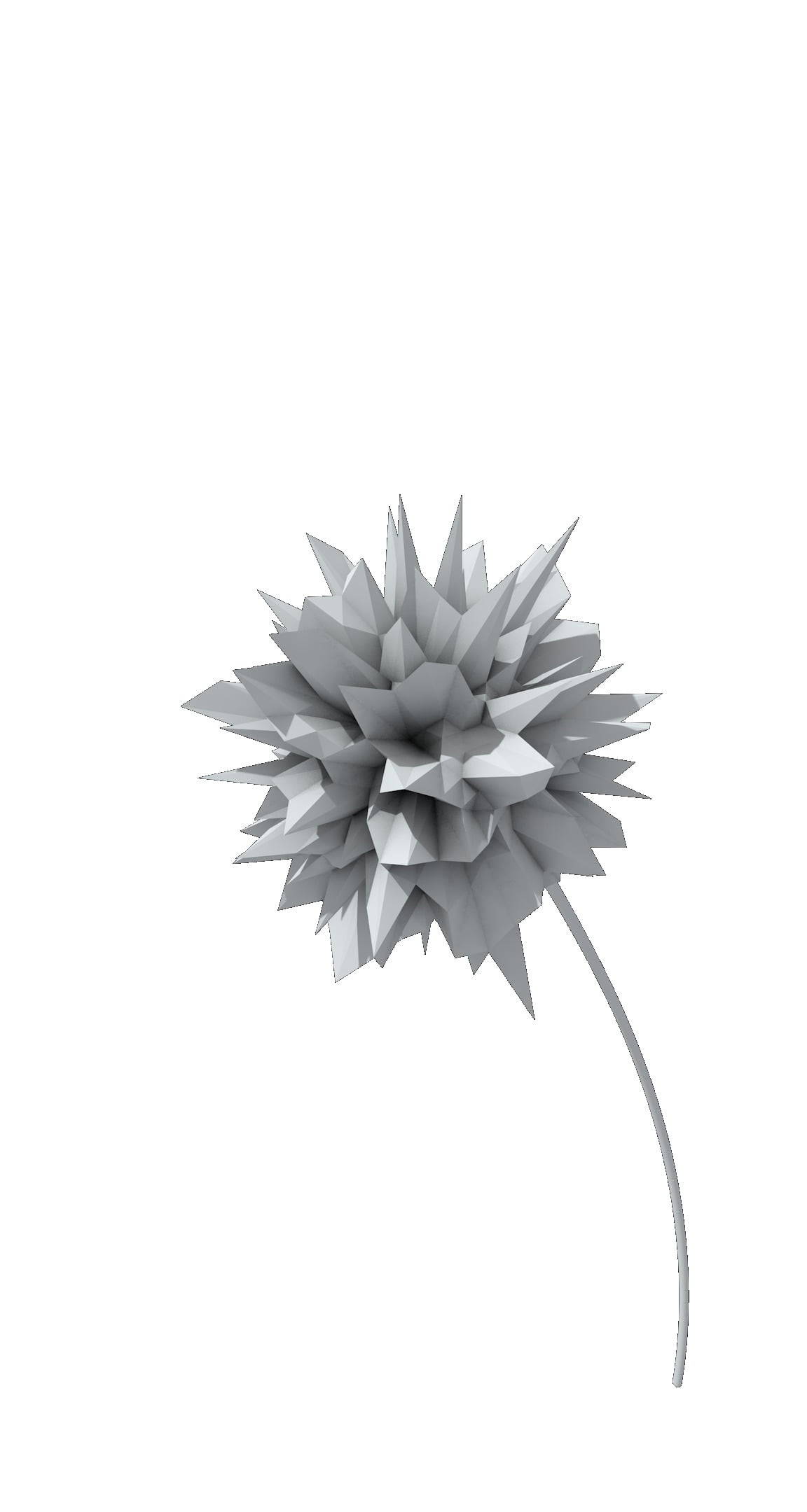 flowering plant, plants, petal, white color, 1080P, inflorescence, flowers, no people, render, creativity, plant, flower head, close-up, beauty in nature, Phone HD Wallpaper