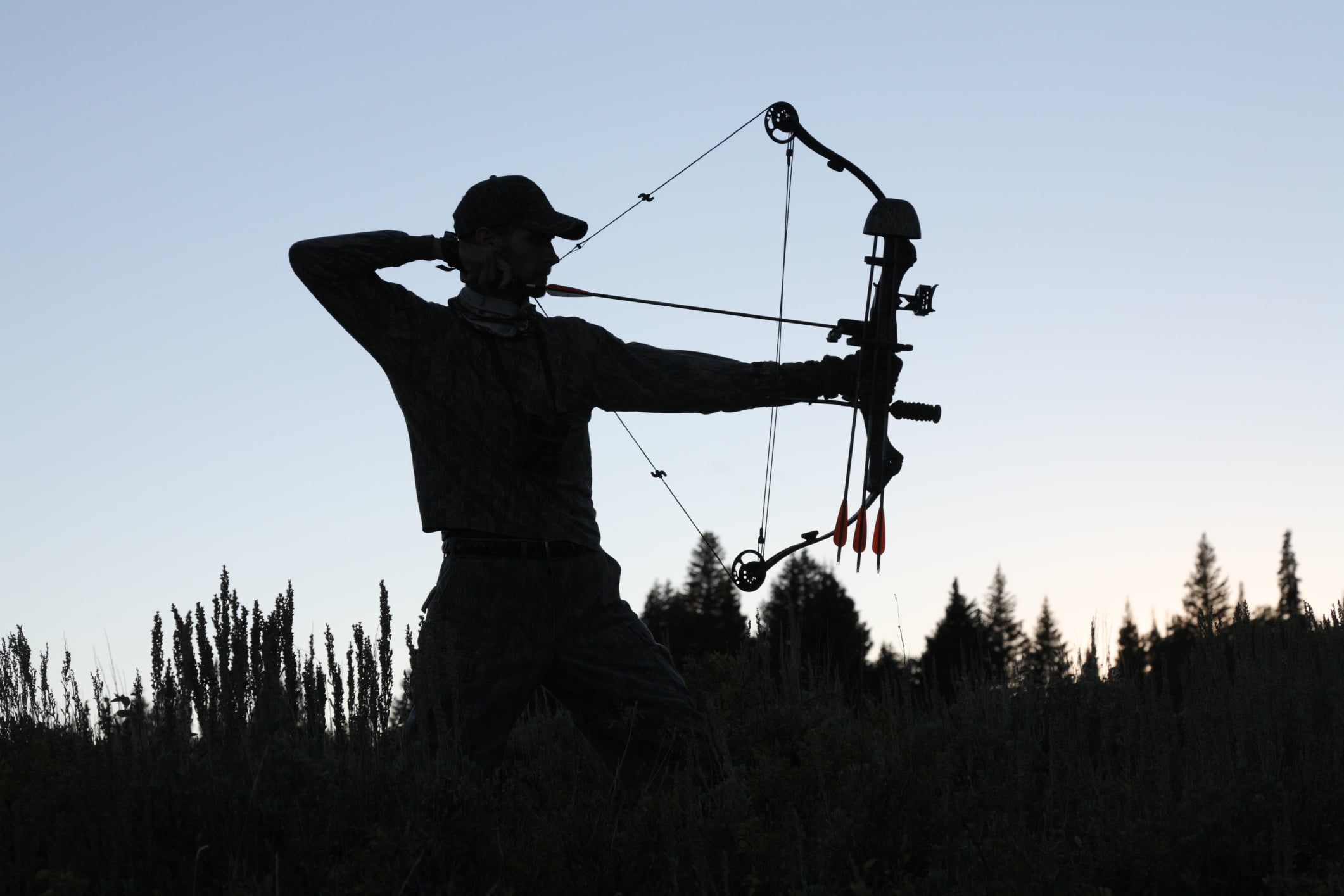 land, hunter, plant, nature, one person, lifestyles, non-urban scene, skill, day, silhouette, uniform, standing, archery, tree, 1080P, shadows, weapon, HD Wallpaper
