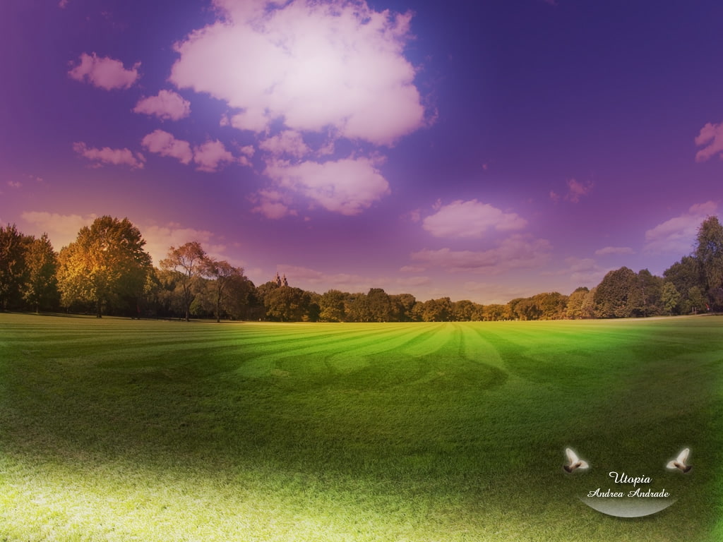 nature, andrade, Fields, art, hd, andrea, 480P, utopia, HD Wallpaper