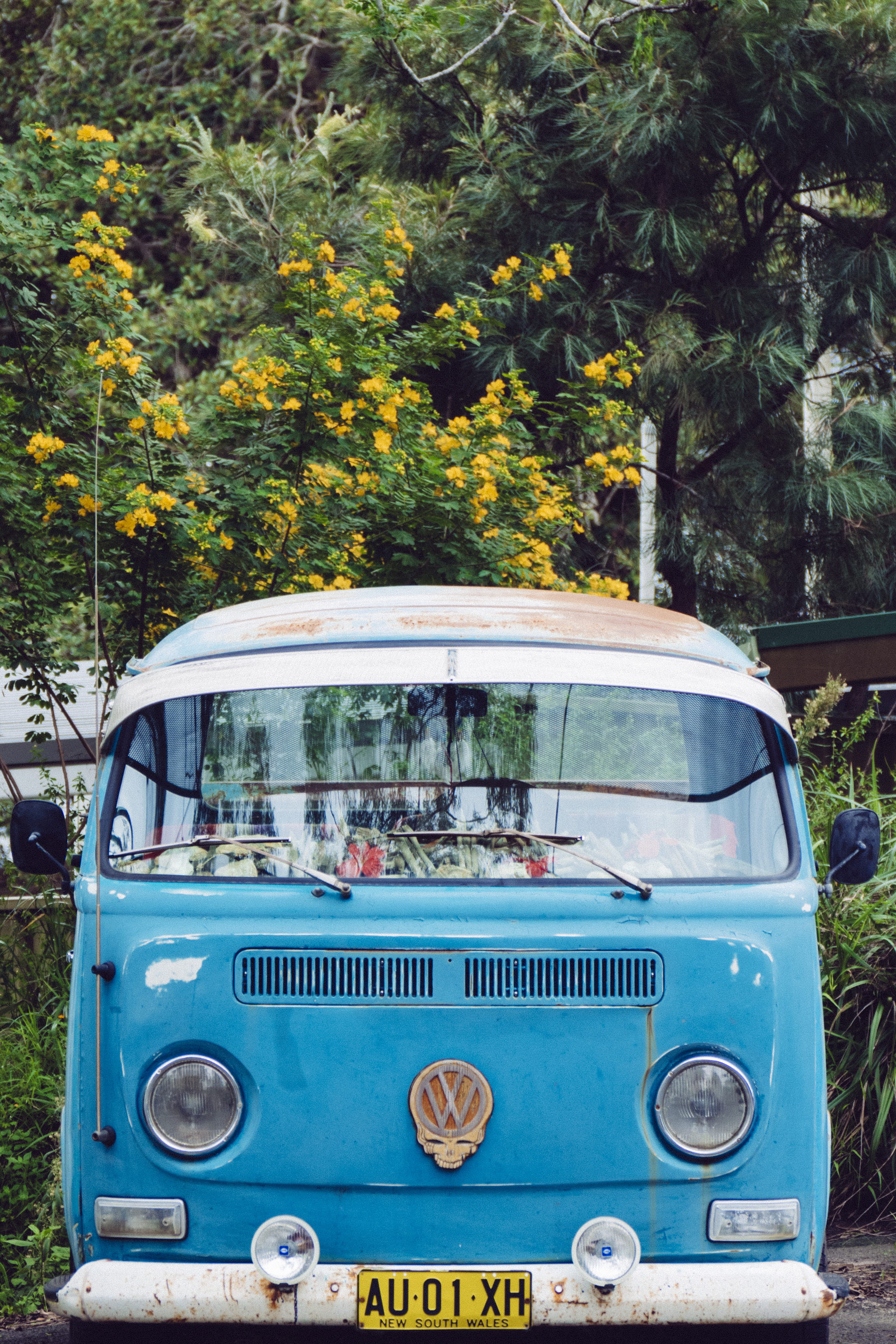 blue, 4K, plant, growth, van, yellow, land vehicle, no people, t, western script, nature, outdoors, number, transportation, volkswagen, parking, van front, Phone HD Wallpaper