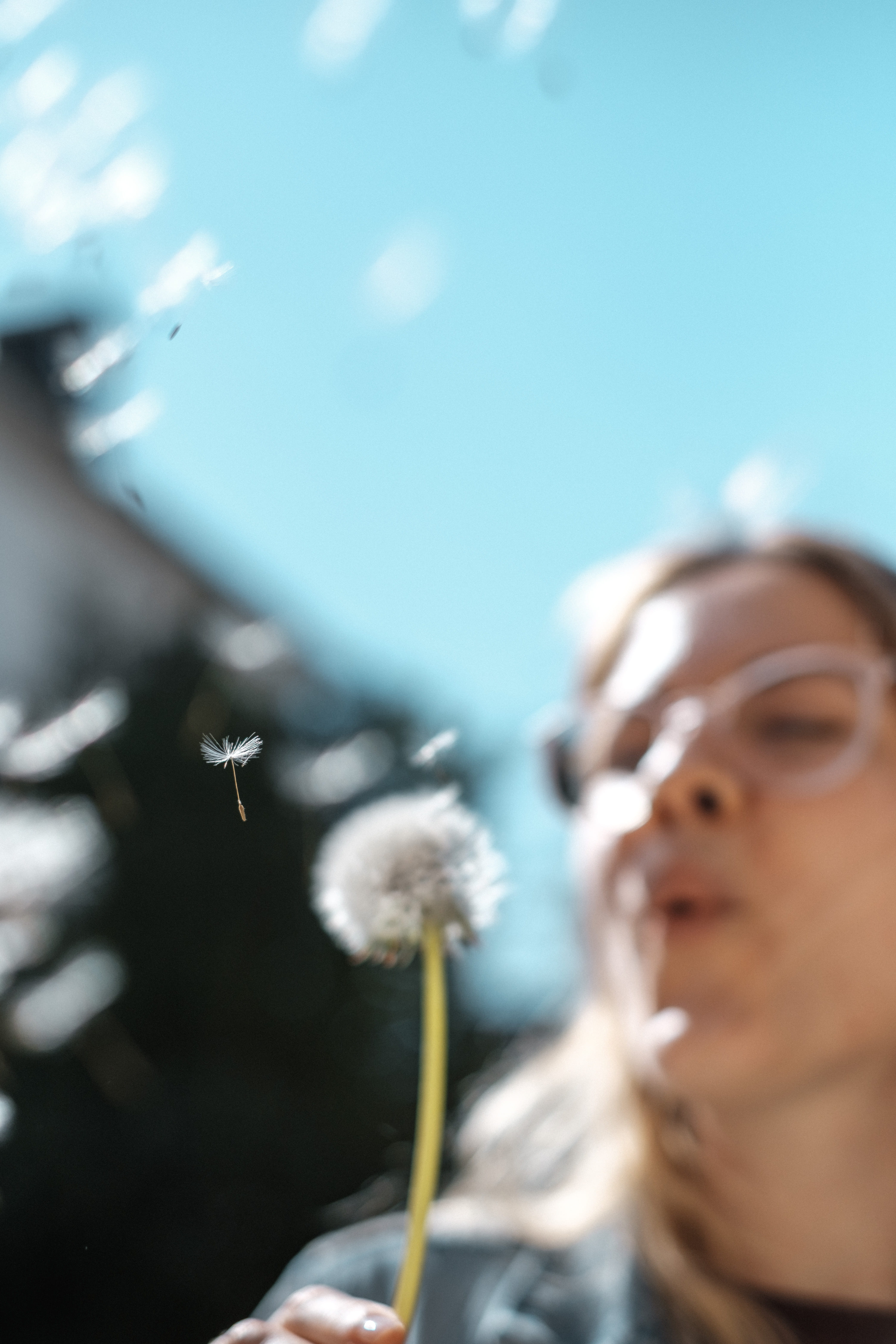 summer, blossom, portrait, adult, human face, happiness, one person, dandelion, eyeglasses, human, selective focus, 5K, plant, headshot, body part, flowers, Phone HD Wallpaper