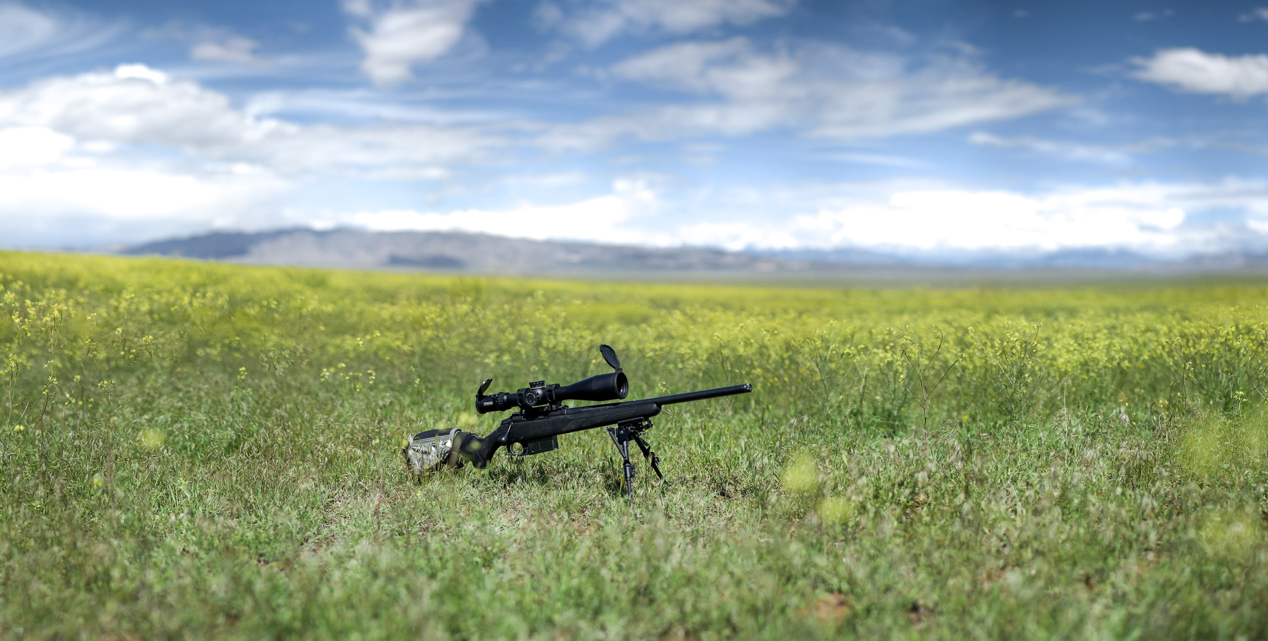 2K, Tikka T3, weapons, rifle, nature, optics, sniper, HD Wallpaper