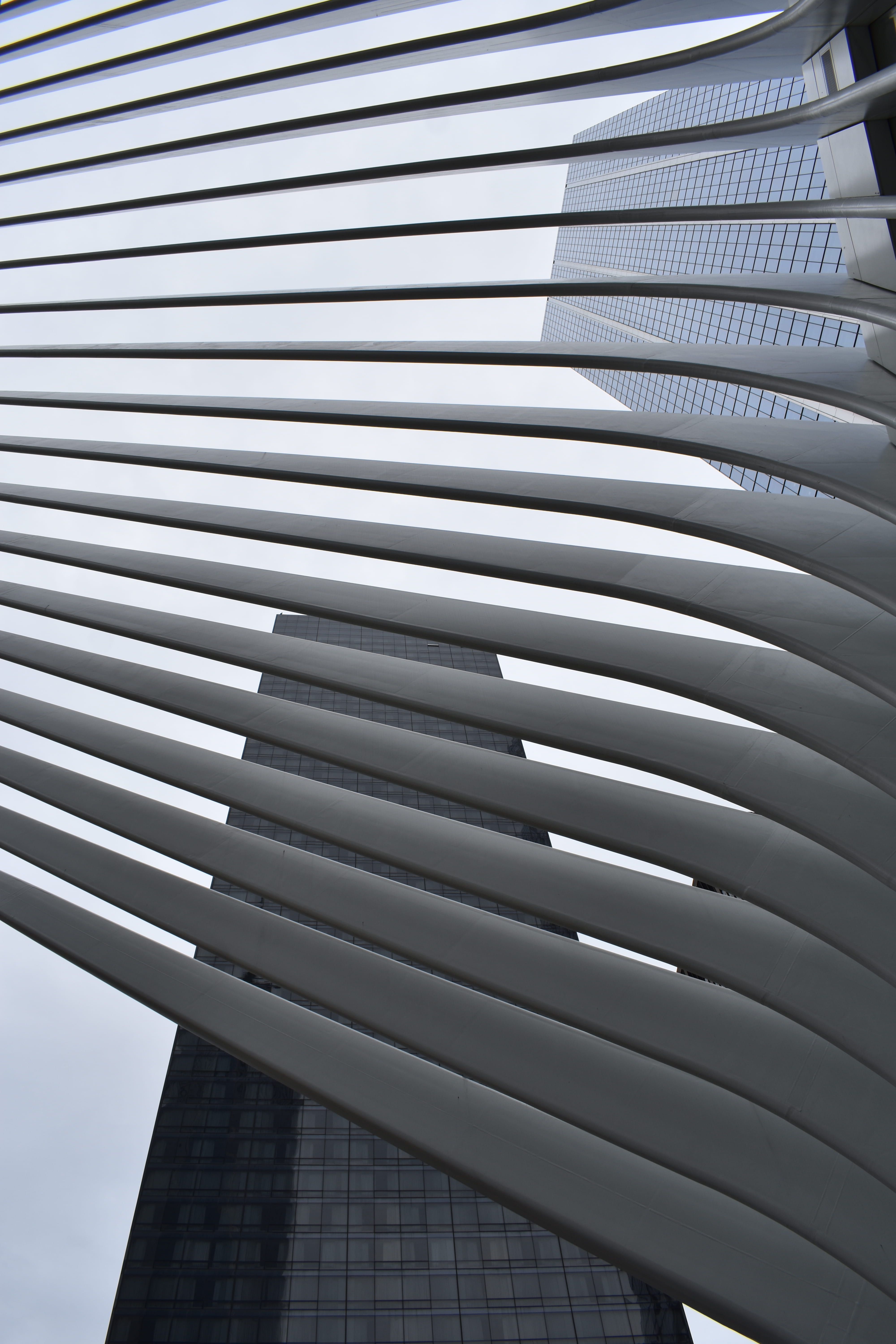 pattern, repetition, perspective, built structure, office, no people, sunlight, outdoors, window shade, blinds, architecture, staircase, low angle view, Phone HD Wallpaper