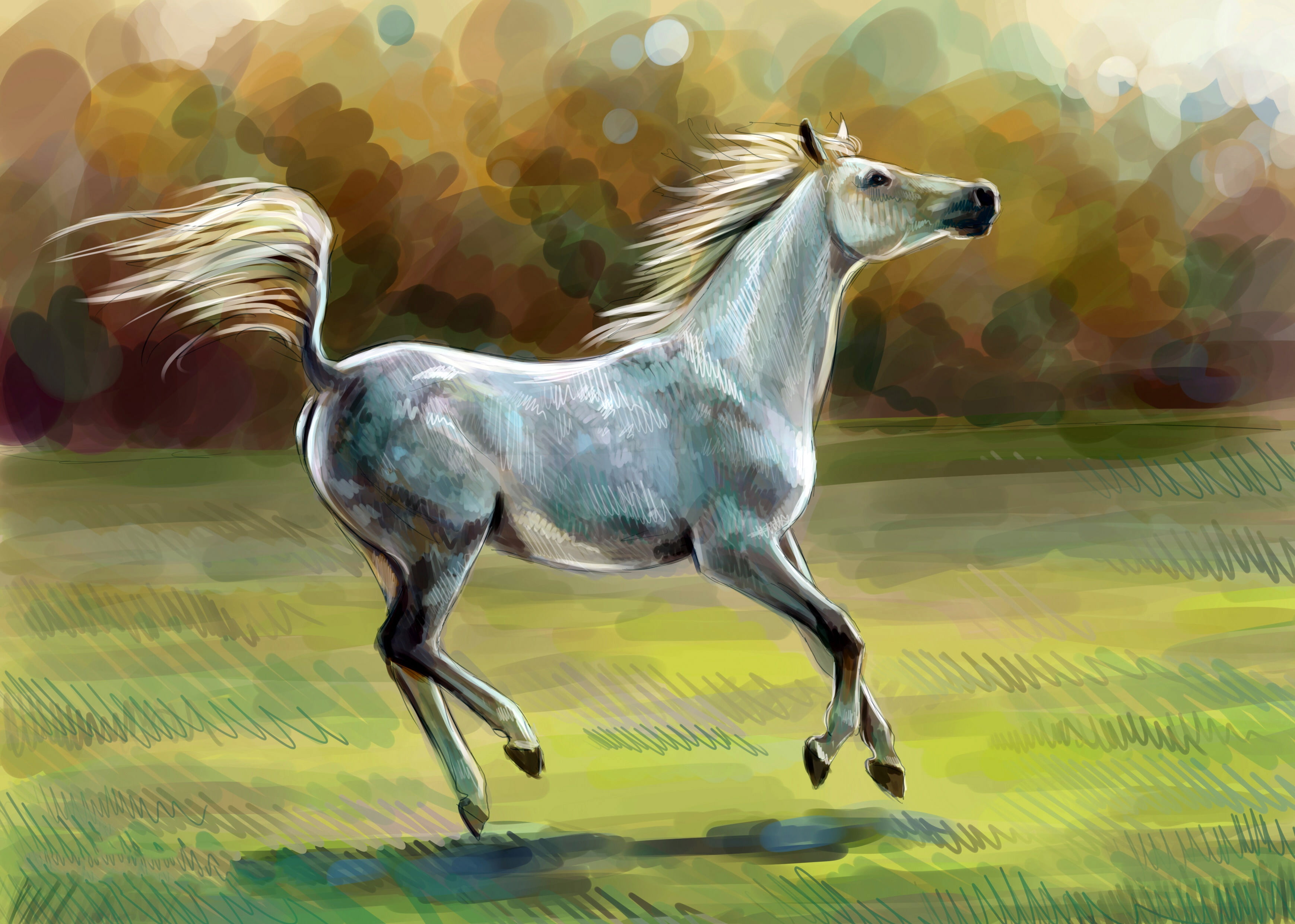 nature, glass - material, transparent, representation, animal, middle, animals in the wild, horse, gouache, indoors, vertebrate, motion, no people, HD Wallpaper