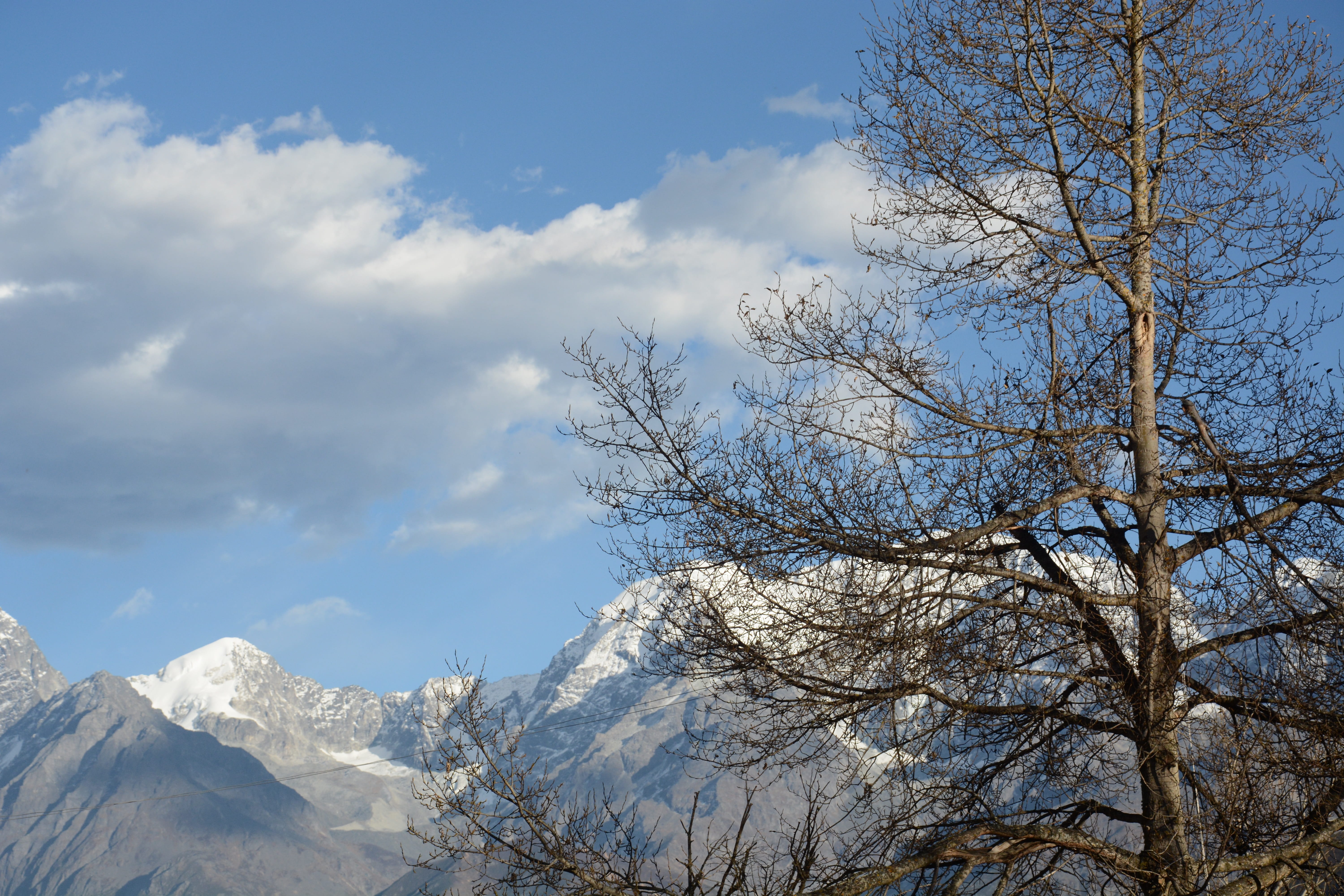 the scenery, mountain, bare tree, plant, mountain peak, scenics - nature, formation, mountain range, tranquility, snowcapped mountain, nature, snow mountain, HD Wallpaper