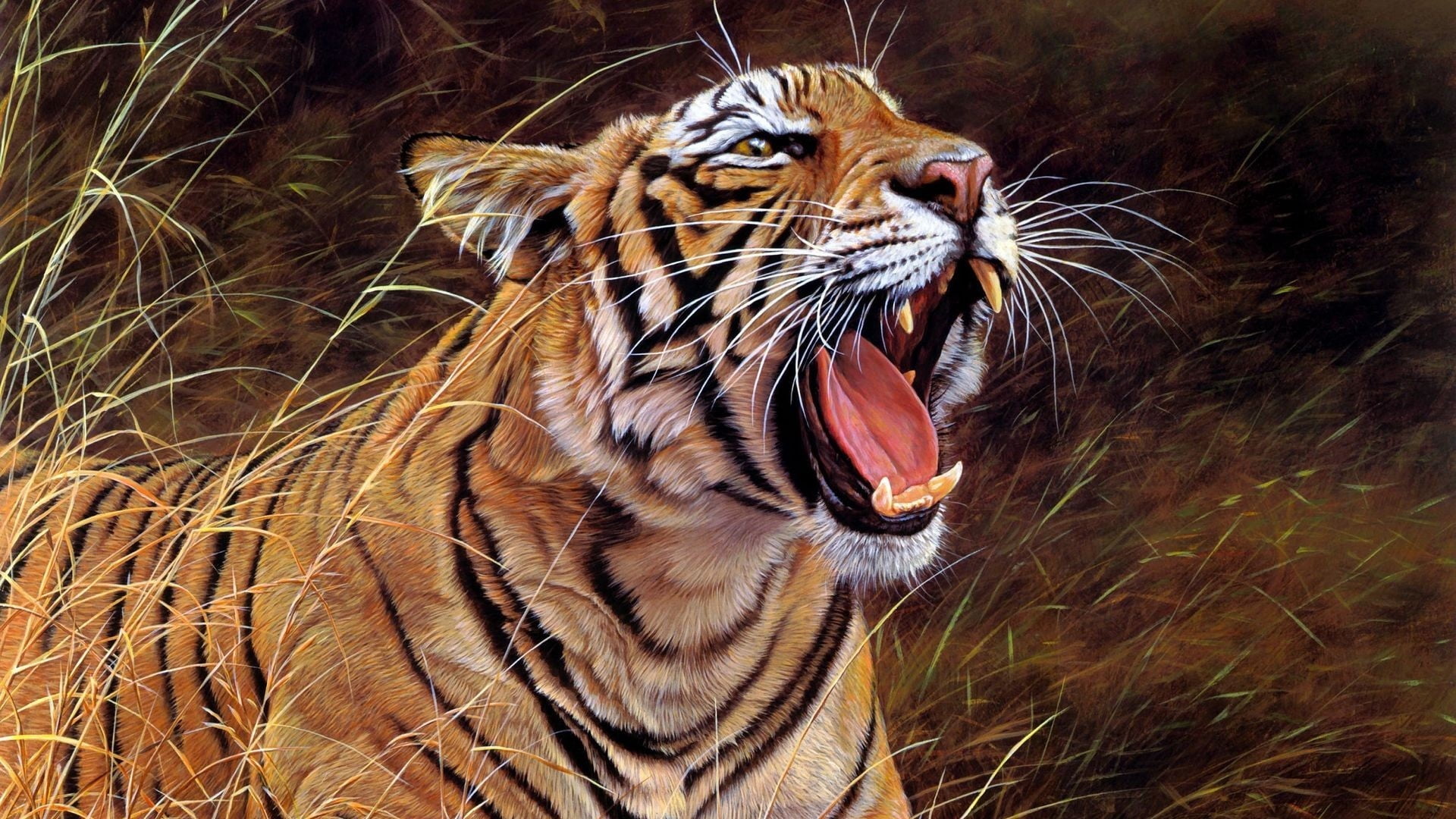 mammal, beauty In Nature, large, big Cat, animal body part, mouth, 1080P, outdoors, striped, teeth, safari Animals, animals Hunting, nature, animal Head, HD Wallpaper