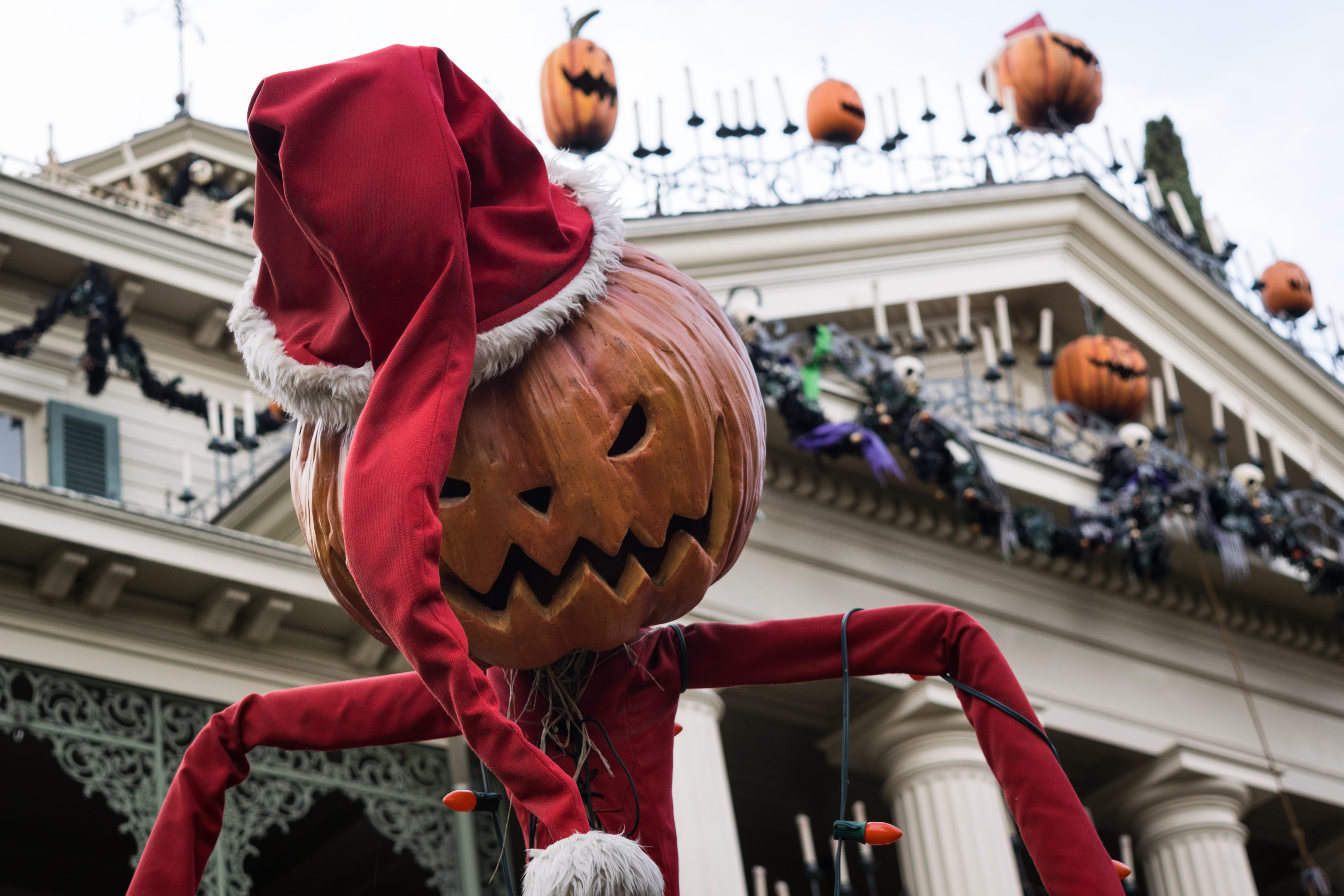 animal, vegetable, pumpkin, photo, lantern, clothing, representation, celebration, mascot, built structure, anaheim, plant, united states, event, low angle view, HD Wallpaper