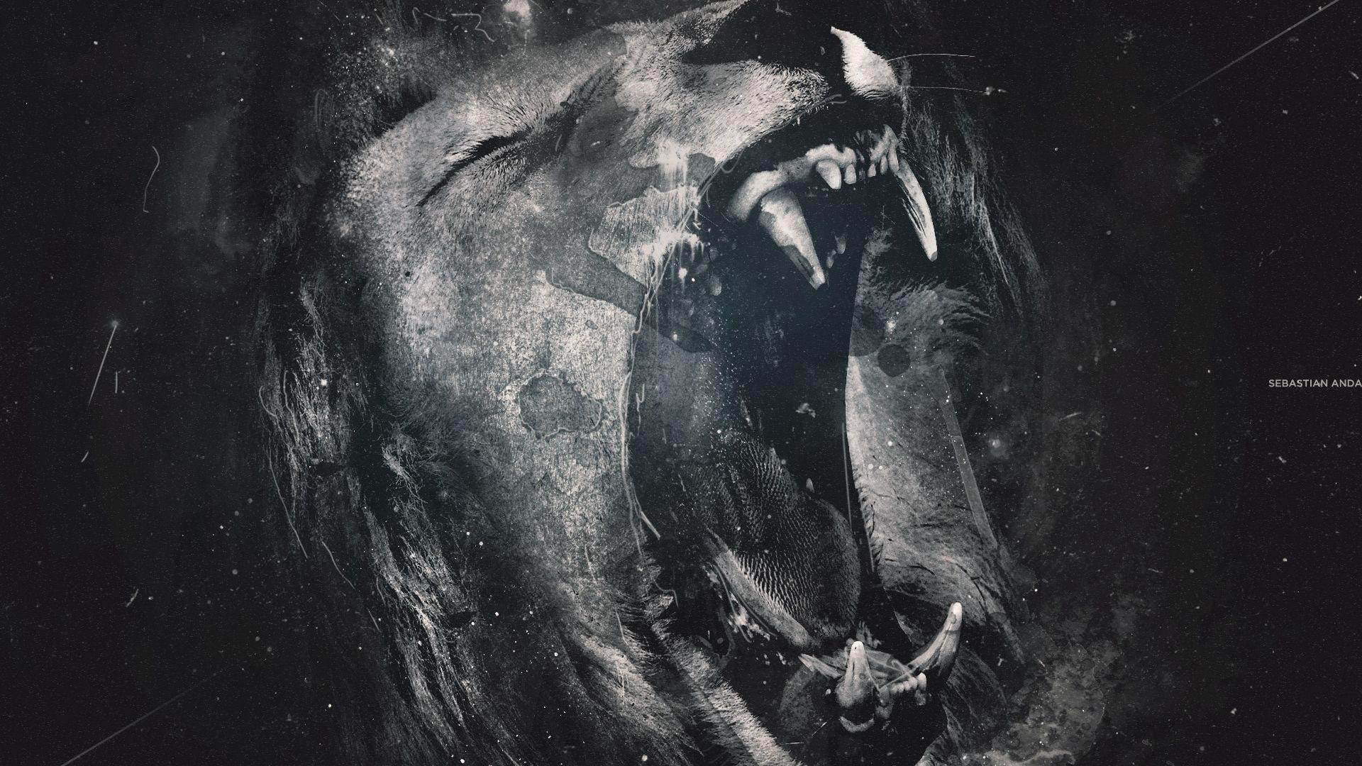 lions, 1080P, artwork, monochrome, black and white, roar, animals, HD Wallpaper