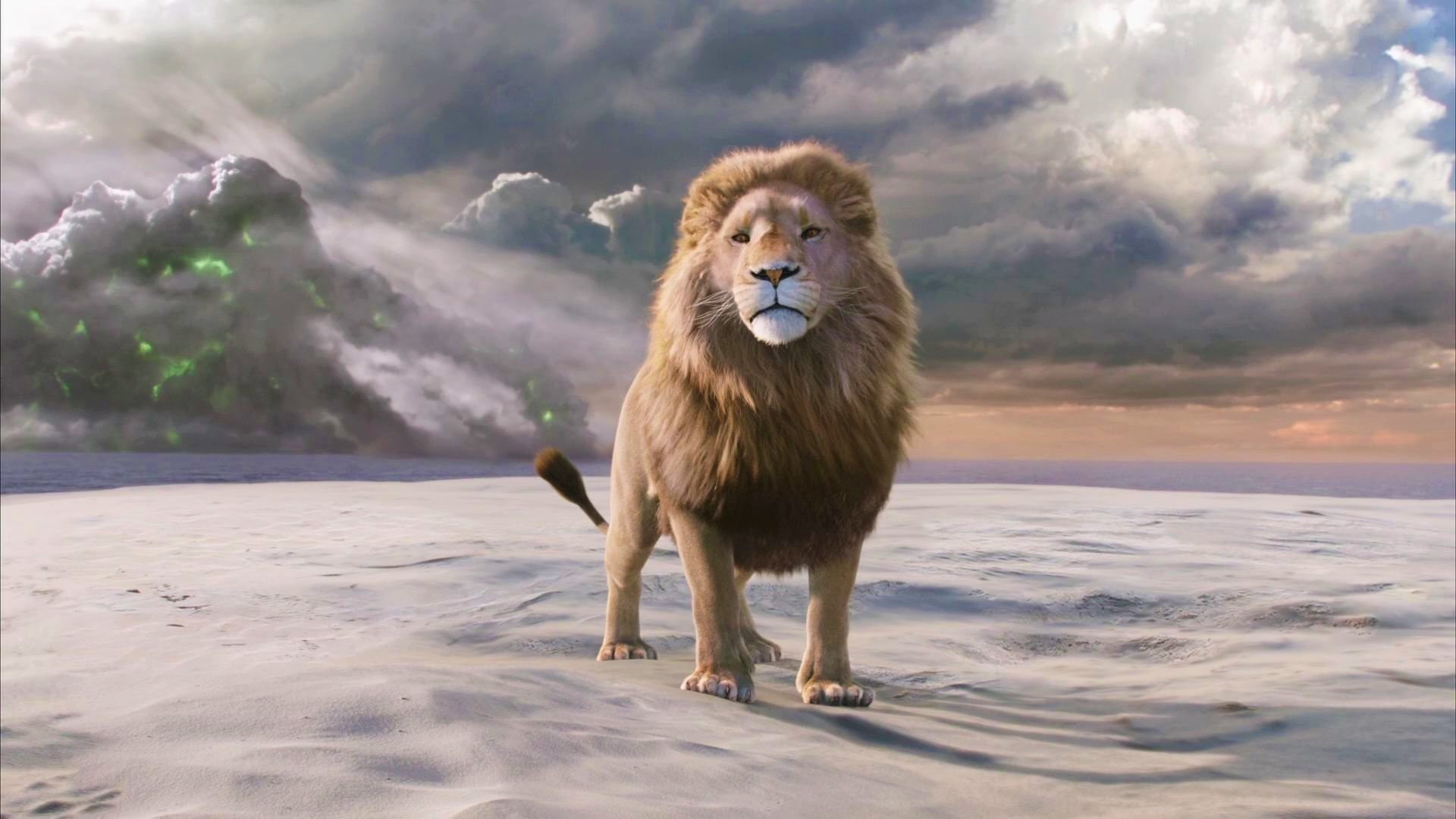 lion, wardrobe, witch, narnia, 1080P, and, chronicles, the, HD Wallpaper