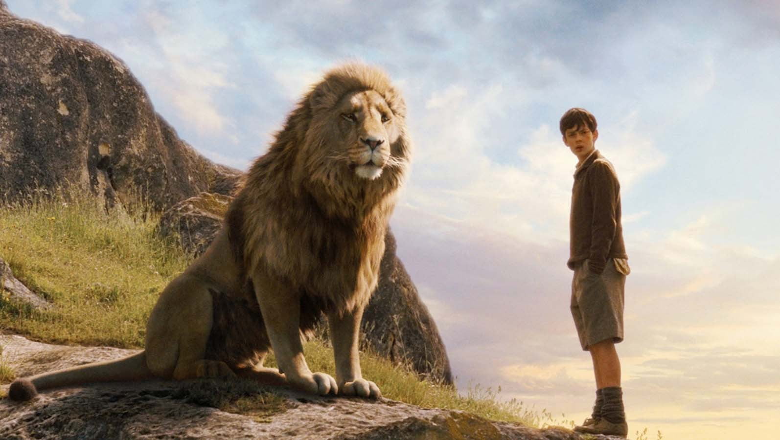 movies, one animal, full length, white, cloud - sky, looking, looking at camera, teenager, brown, hair, portrait, nature, standing, mammal, fur, sky, 720P, HD Wallpaper