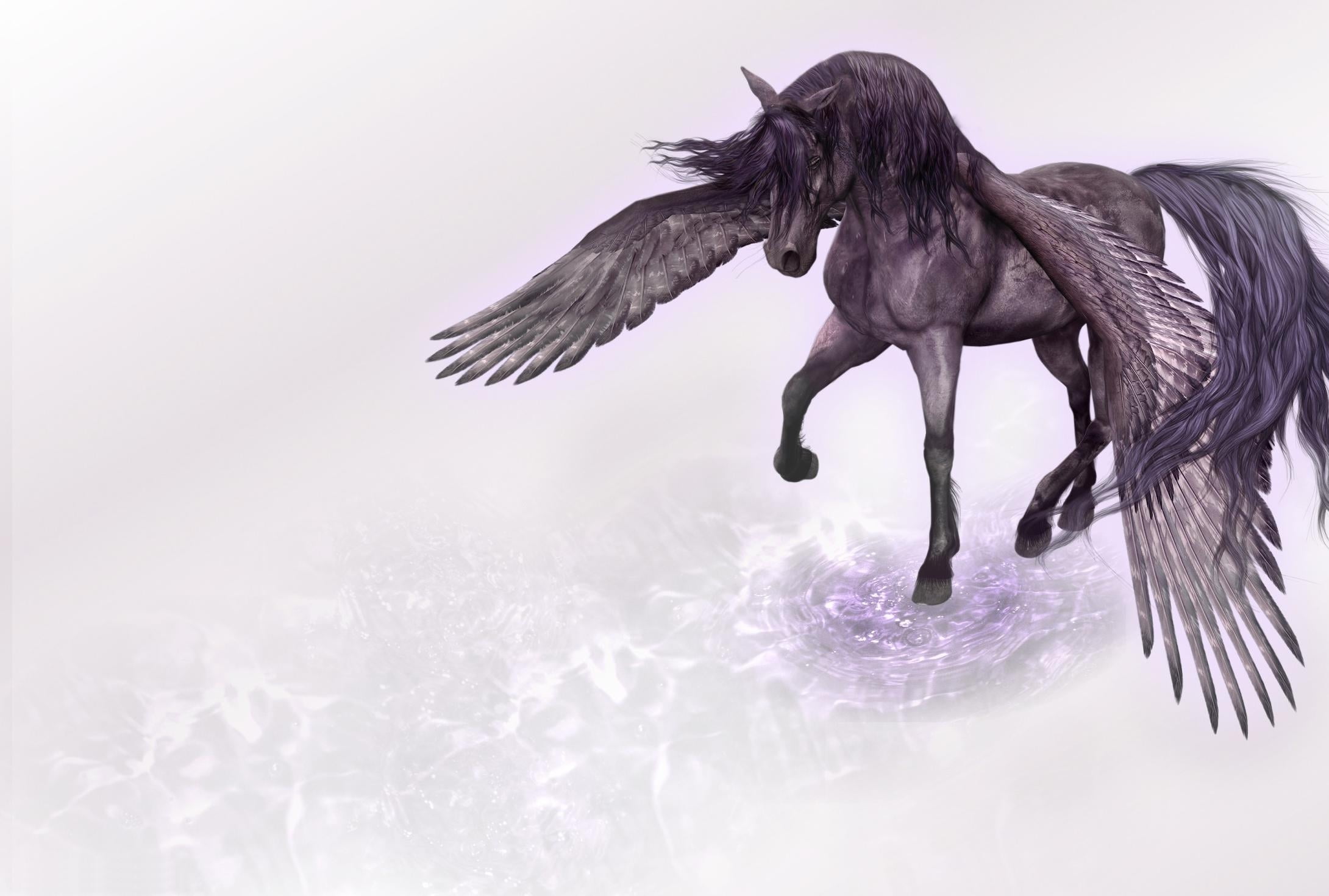 gray, mid-air, horse, outdoors, motion, winter, mammal, one animal, no people, vertebrate, pegasus, copy space, aggression, 1080P, animal themes, elegance, HD Wallpaper