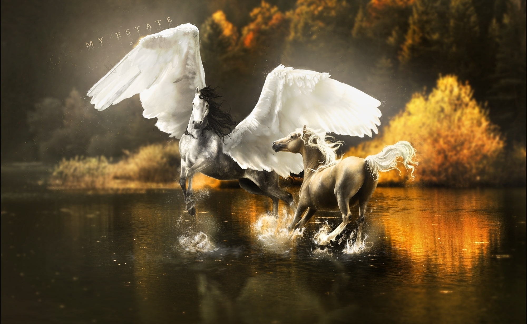 Magical, lake, animals, 1080P, horse, wings, Pegasus, horses, autumn, reflection, HD Wallpaper