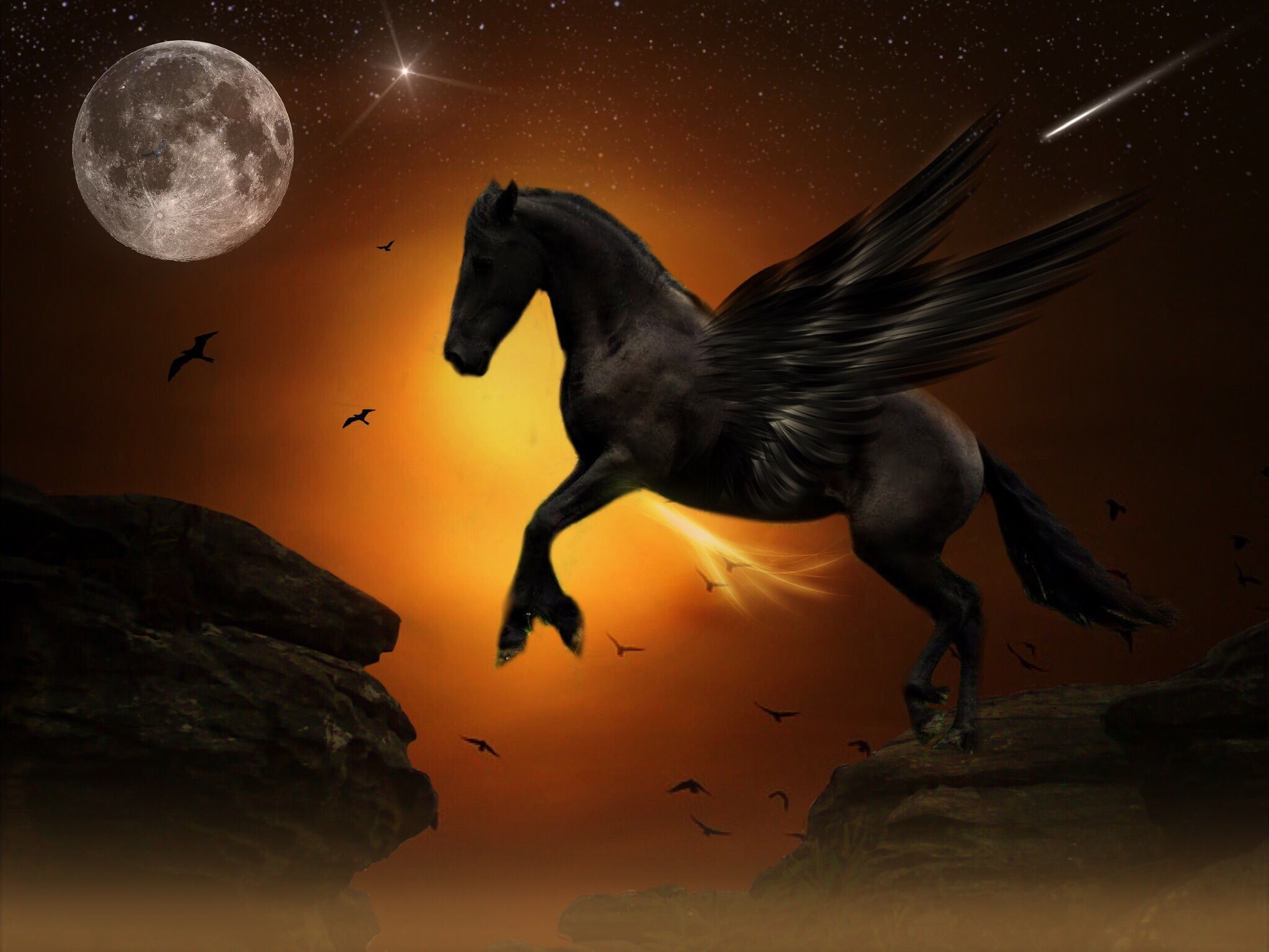 animal wildlife, motion, atmospheric, animal themes, birds, flying, silhouettes, sunset, full moon, jump, nature, atmosphere, animal, 1080P, wing, mood, HD Wallpaper
