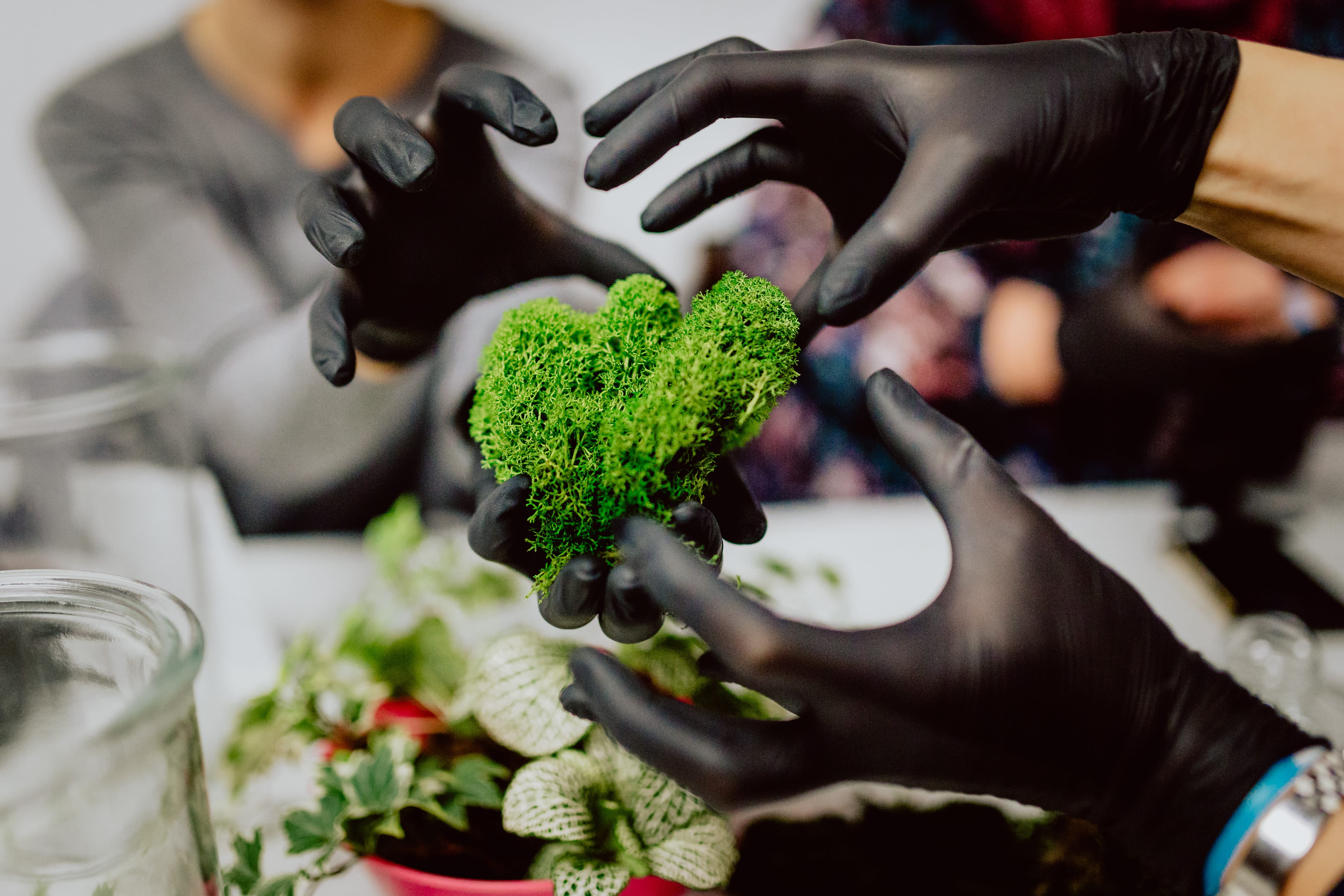 women, people, rainforest, diy, food, forest, healthy eating, jar, terrarium, moss, human body part, preparation, herb, wellbeing, garden, glass, hand, HD Wallpaper