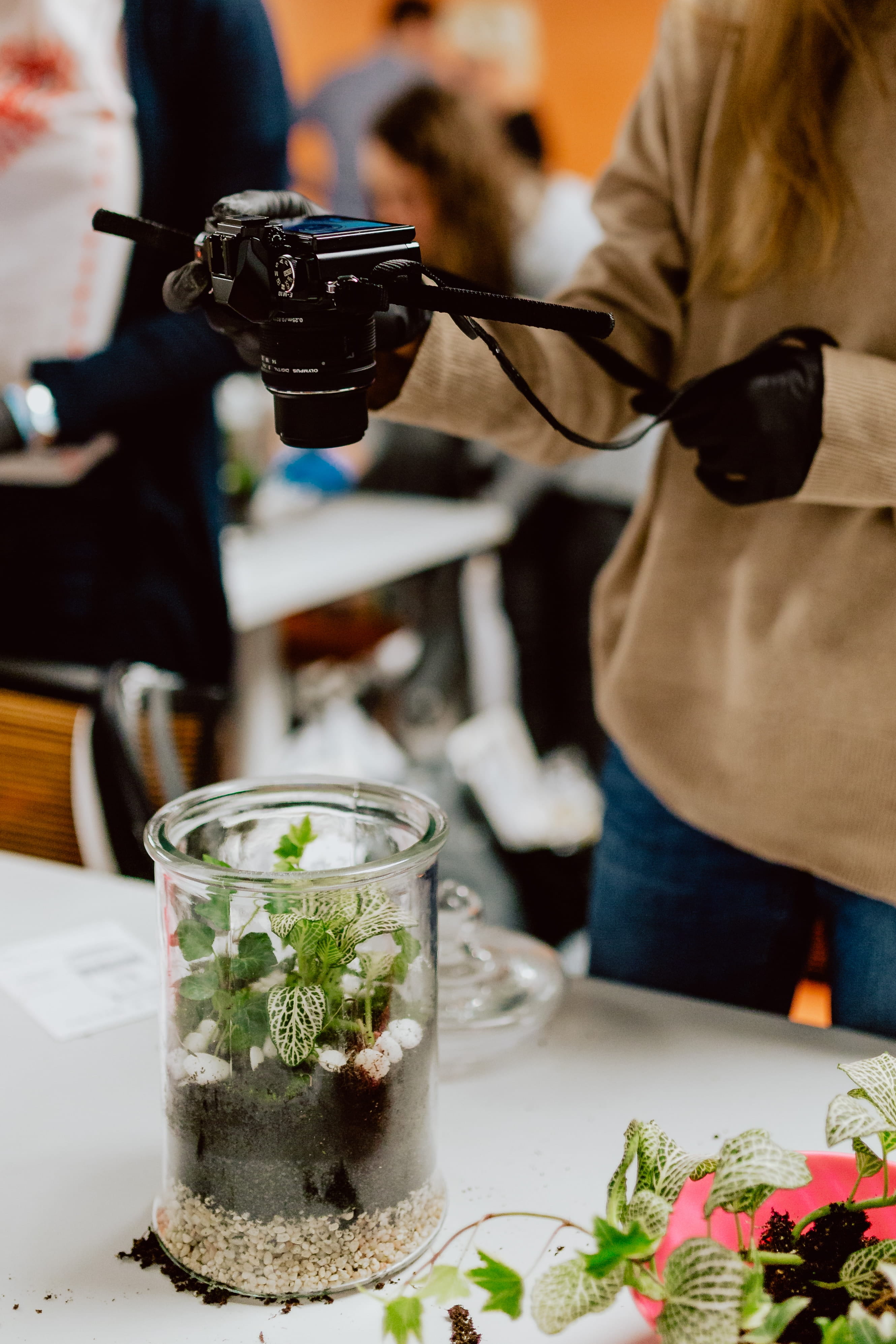plants, real people, food and drink, standing, greenhouse, food, garden, focus on foreground, do it yourself, preparation, midsection, one person, building, Phone HD Wallpaper