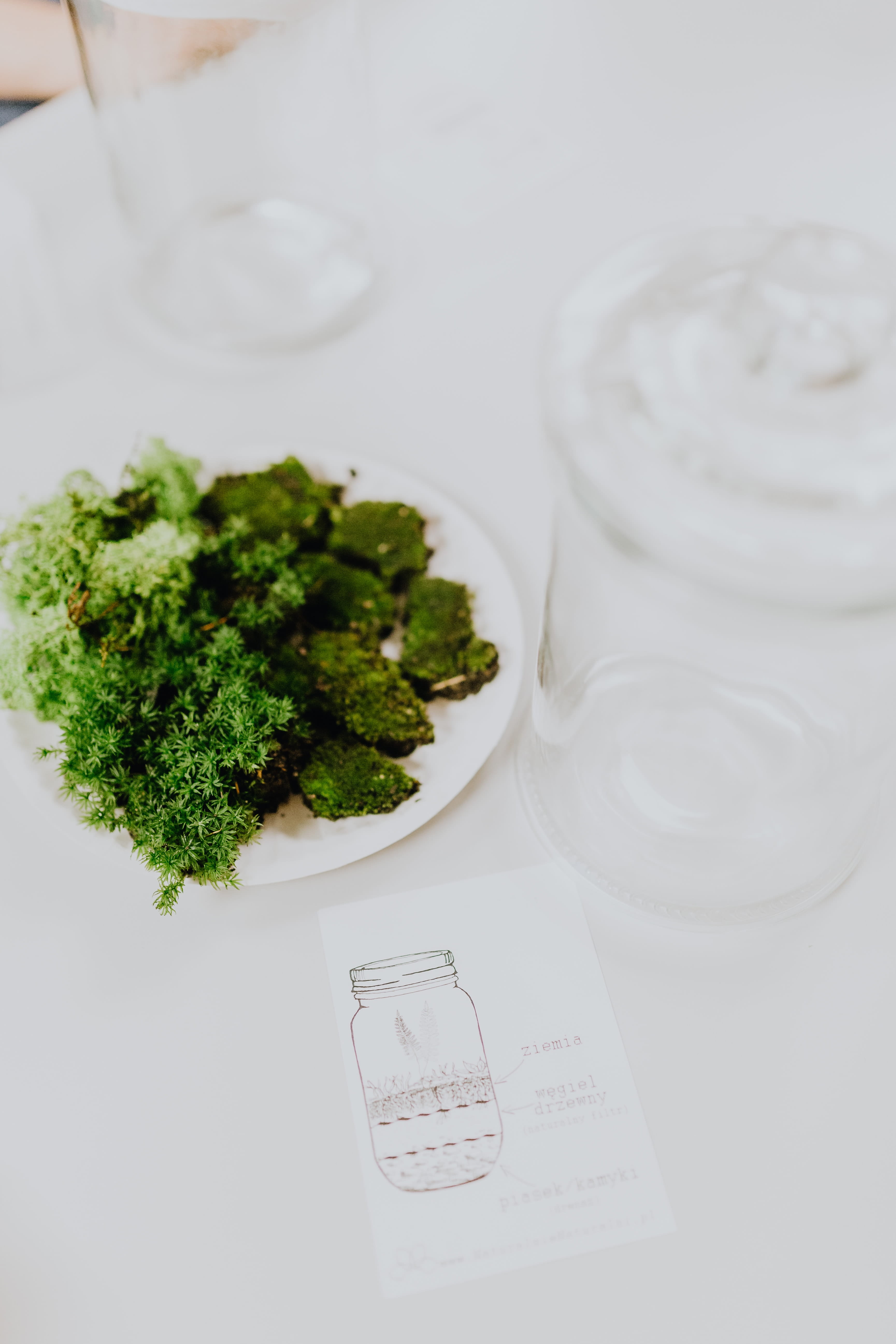 greenhouse, jar, vegetable, forest, table, drinking glass, healthy eating, garden, diy, rainforest, dairy product, food, bonsai, plants, 5K, wellbeing, Phone HD Wallpaper