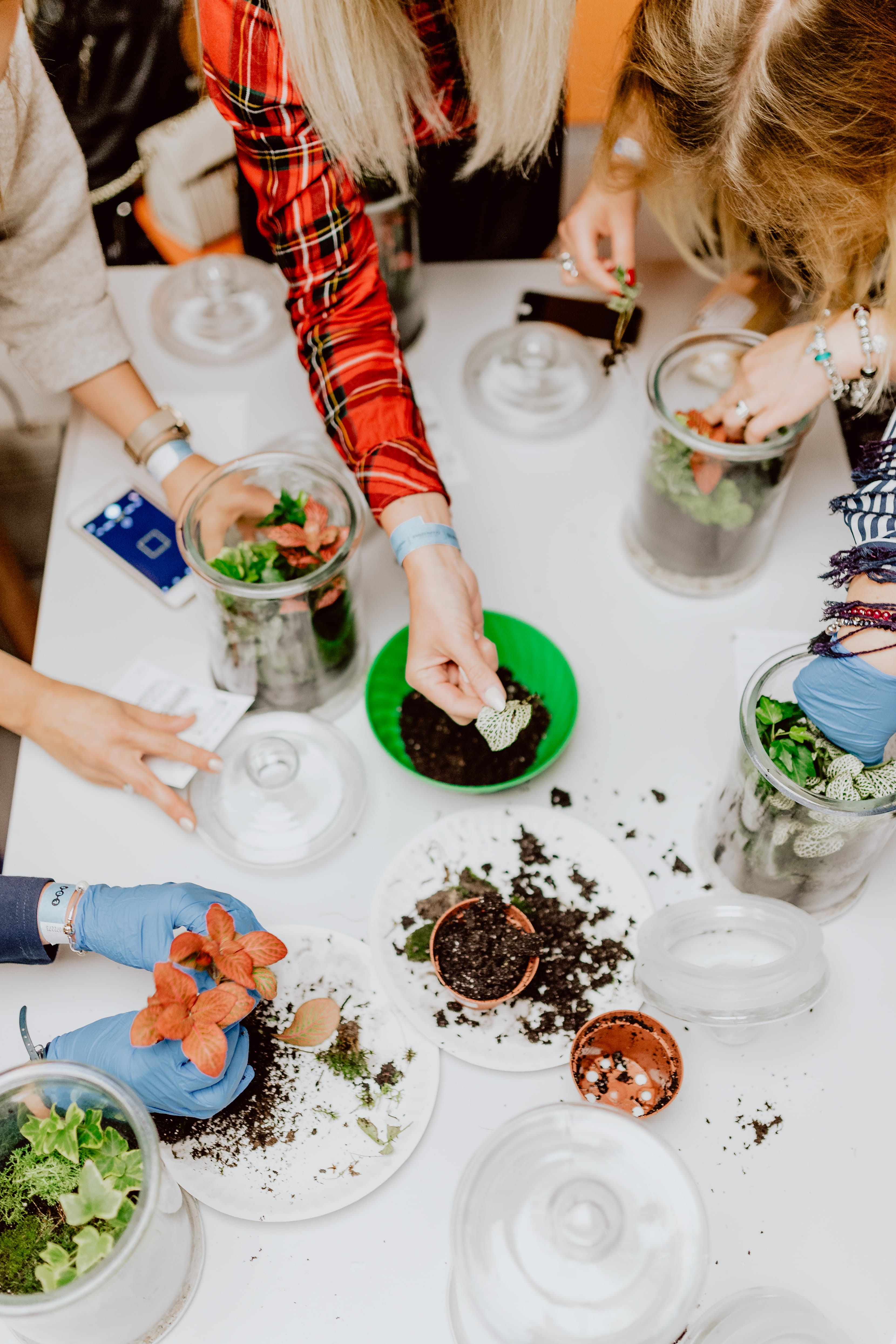 child, plate, preparation, freshness, do it yourself, innocence, lifestyles, group of people, real people, moss, terrarium, togetherness, diy, females, Phone HD Wallpaper