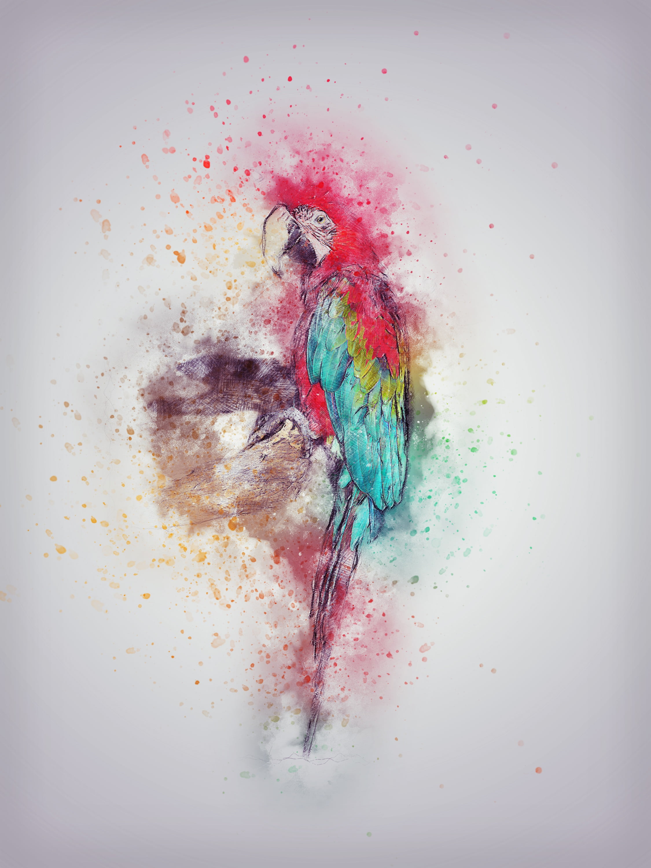 animal, directly above, white background, design, art, multi colored, t-shirt, creativity, watercolor, yellow, no people, close-up, messy, colored background, Phone HD Wallpaper