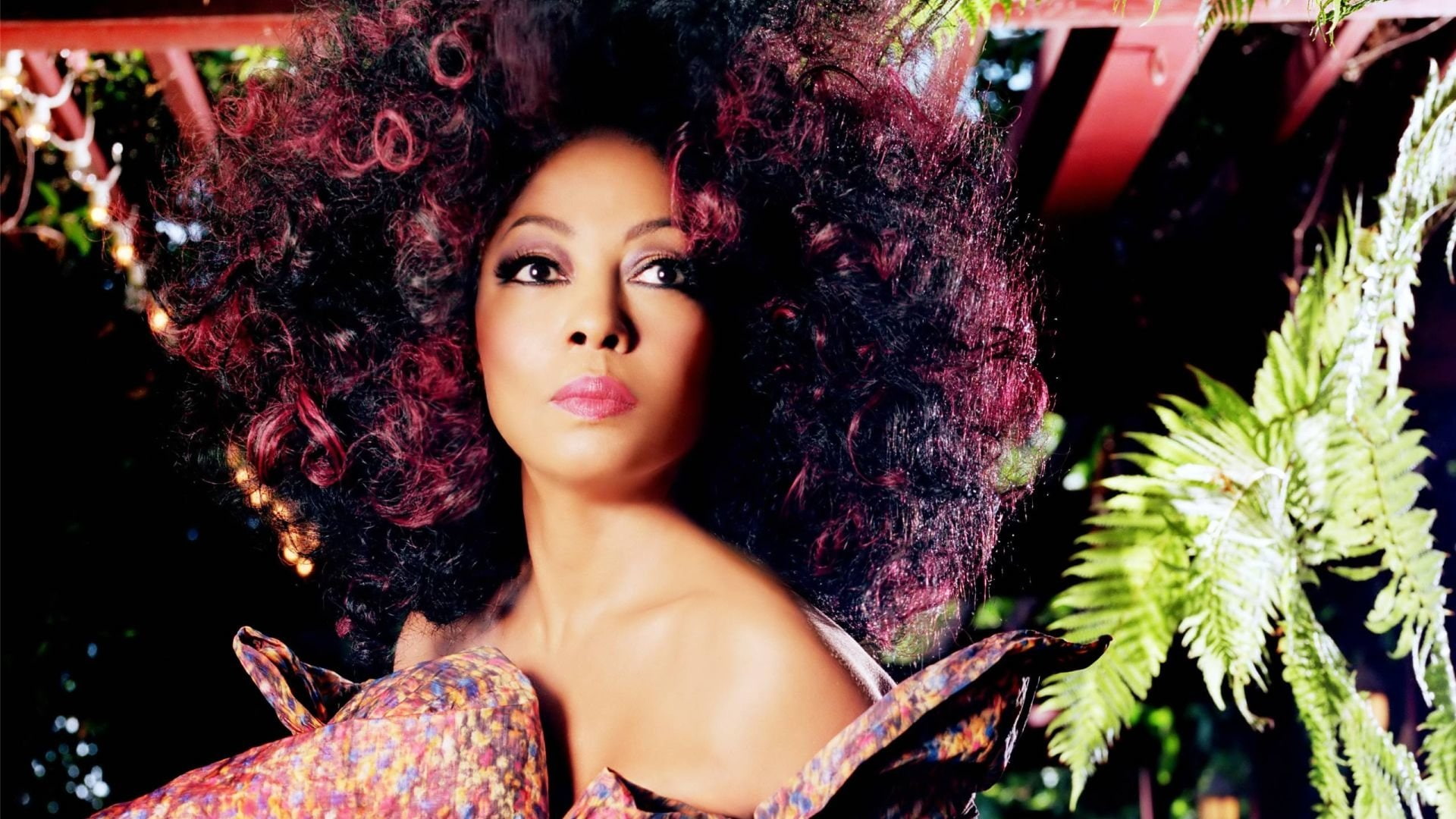 1080P, Music, Diana Ross, HD Wallpaper