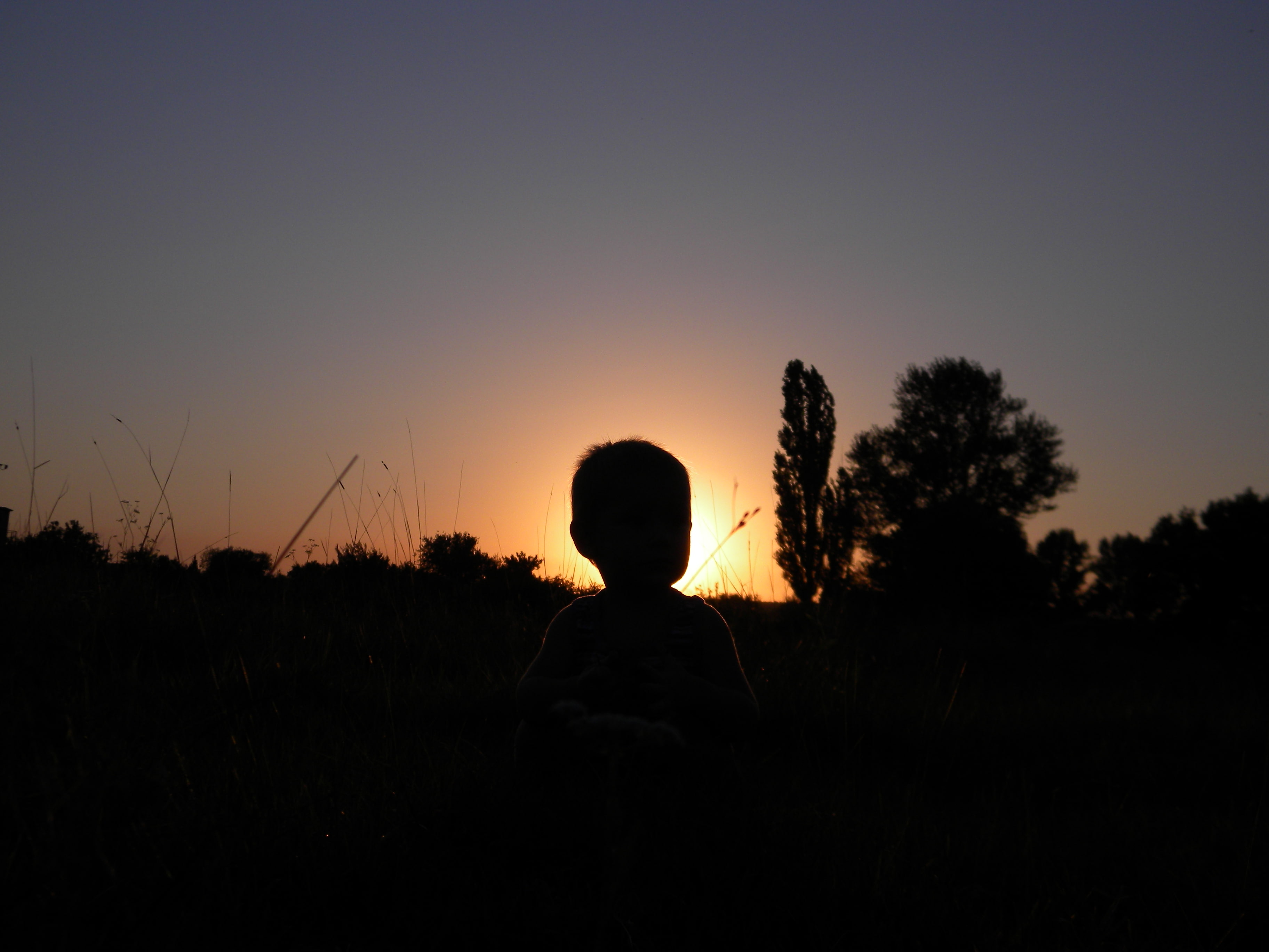 men, plant, eclipse, one person, photography, field, rear view, lifestyles, sky, clear sky, silhouette, outdoors, children, 2K, boys, sunset, beauty in nature, HD Wallpaper