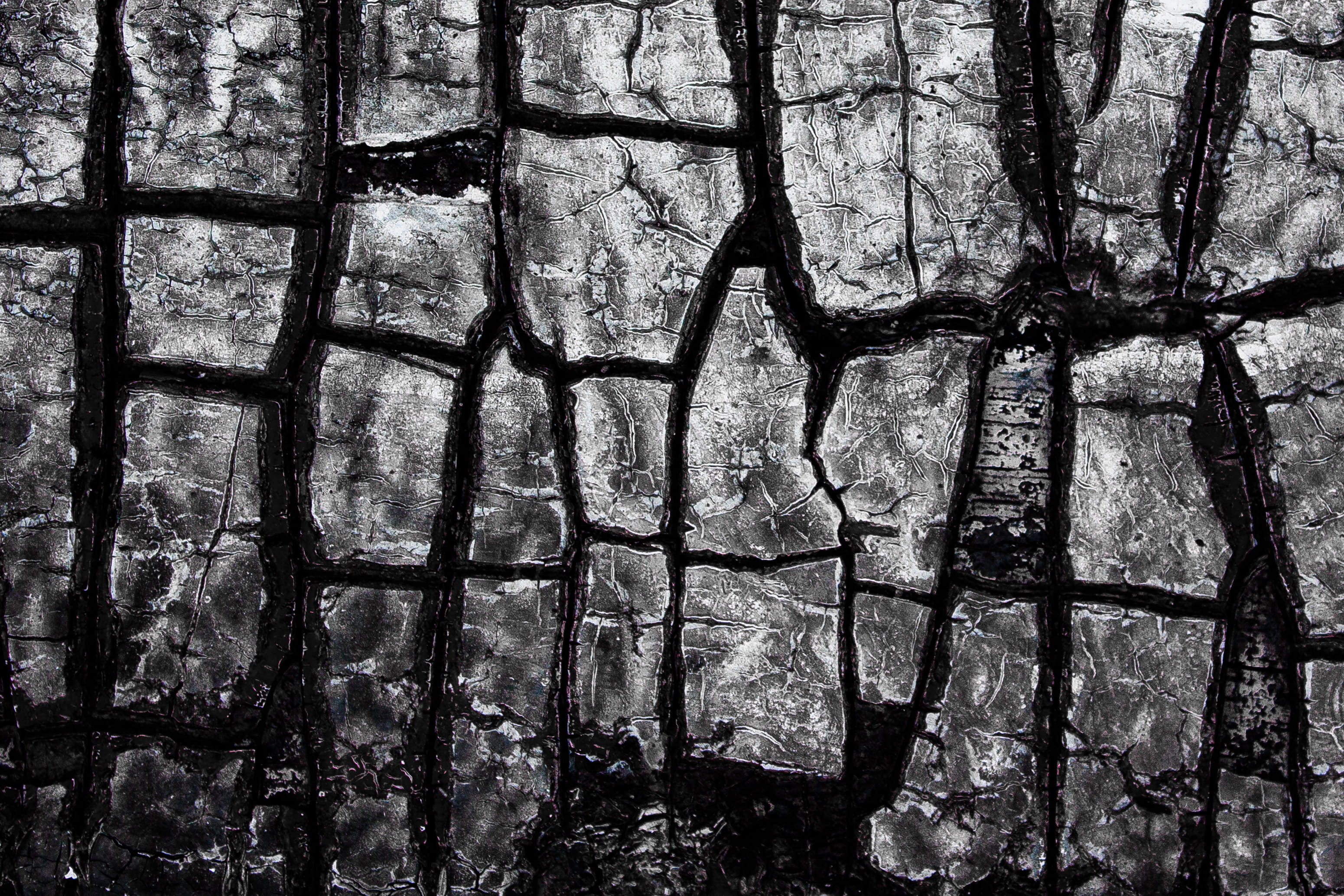 tree, charred, texture, day, built structure, plant, window, sunlight, boundary, wood, backgrounds, ash, outdoors, close-up, no people, 2K, wall - building feature, HD Wallpaper