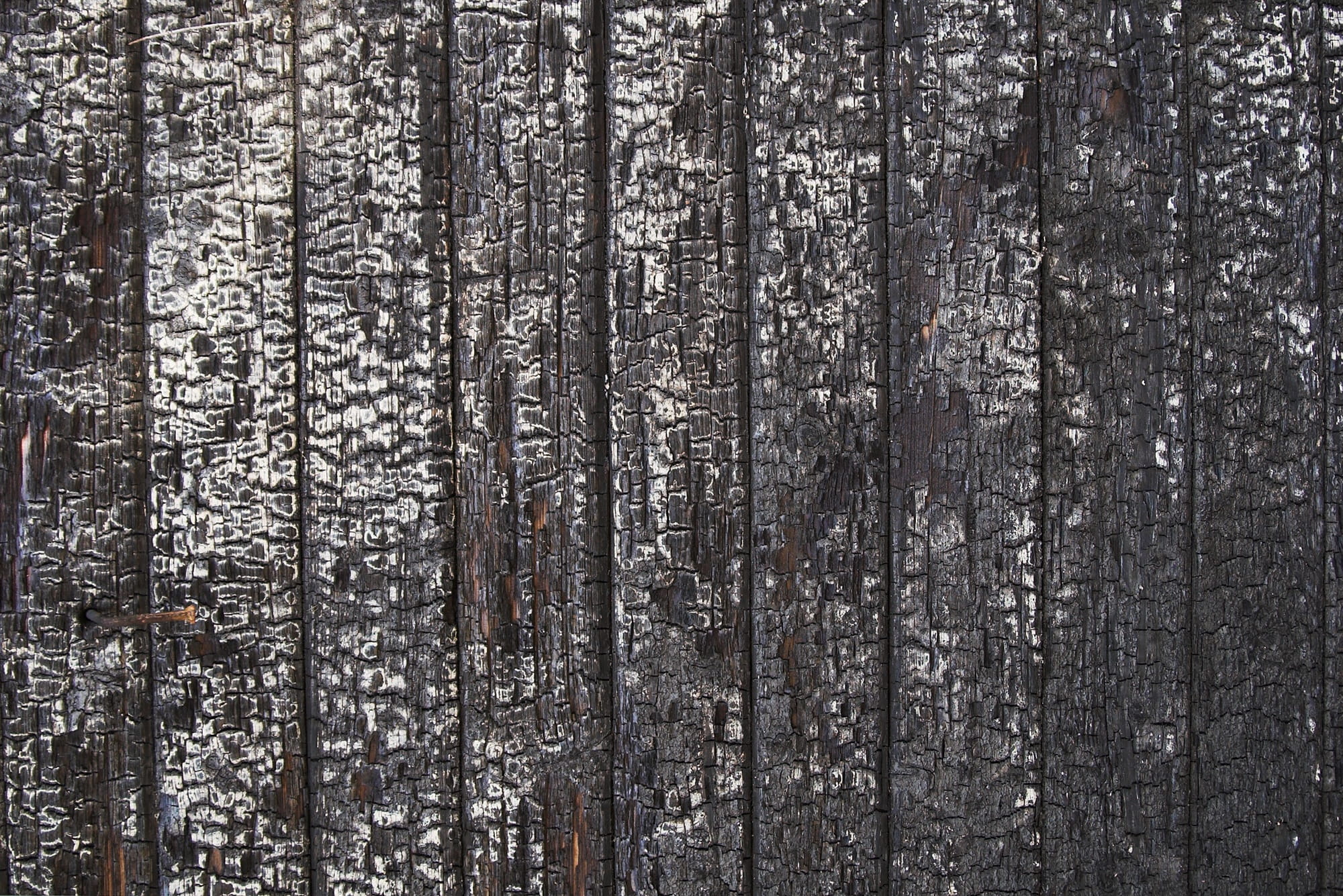 trunk, nature, charred, outdoors, Burnt, plank, Wood, material, dark, abundance, pine woodland, backdrop, pattern, built structure, no people, forest, surface, HD Wallpaper