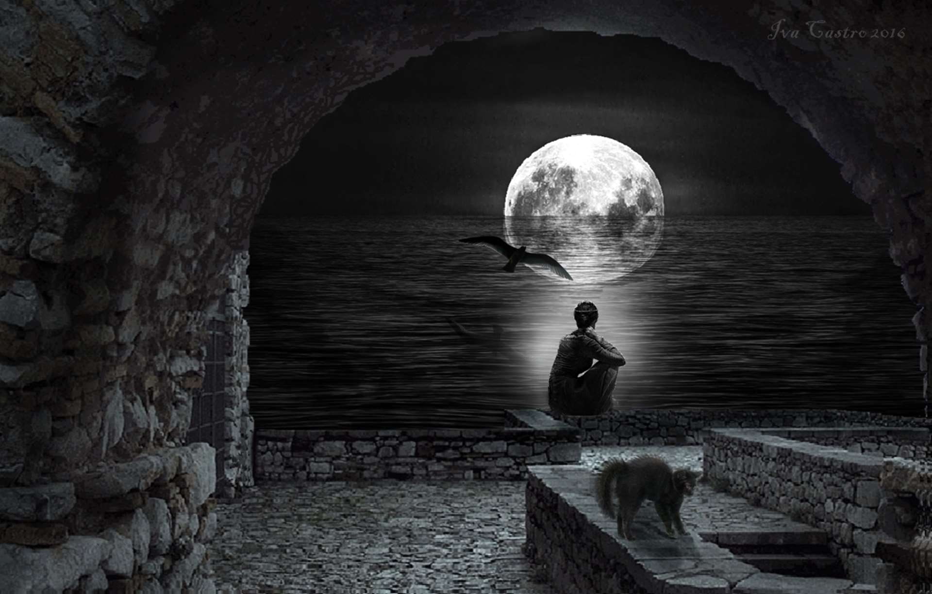 rear view, beach, cat, castle, mulher, built structure, bird, cave, architecture, real people, night, leisure activity, moon, one person, indoors, sea, HD Wallpaper