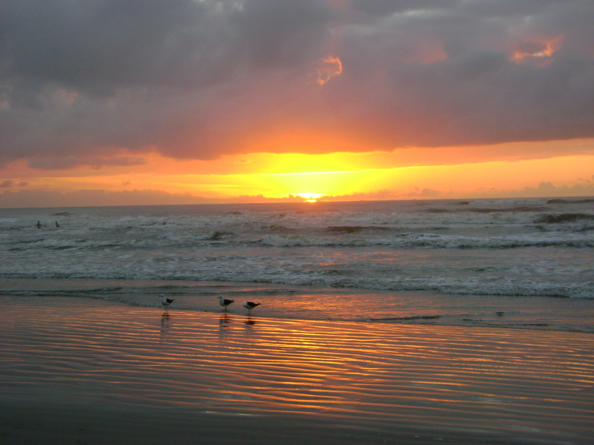 brasil, 3d and abstract, 1080P, brazil, praia, morning, beach, HD Wallpaper
