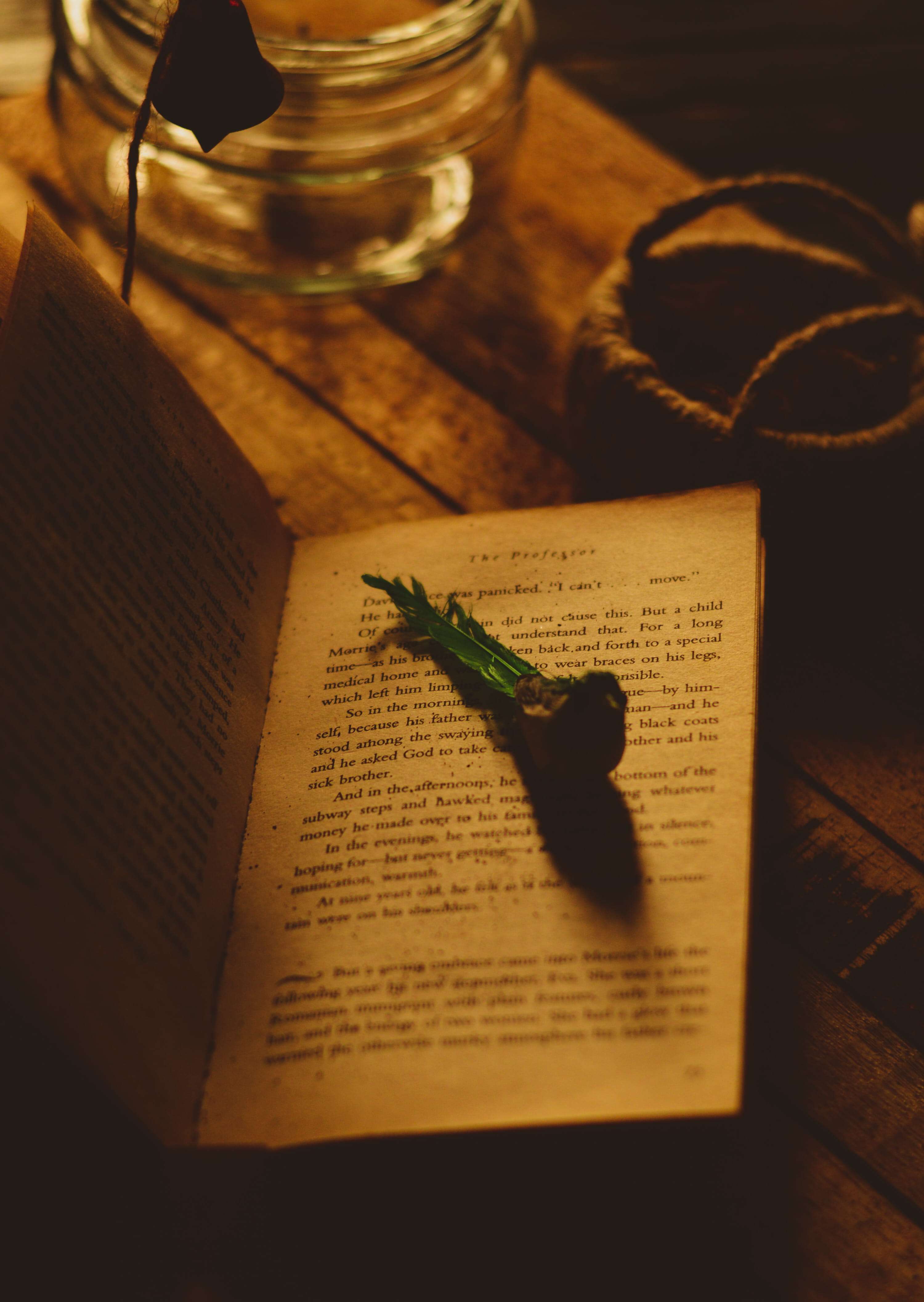 furniture, birdphotography, moodyimage, brown, table, no people, delhi, selective focus, publication, education, literature, western script, flooring, close-up, Phone HD Wallpaper