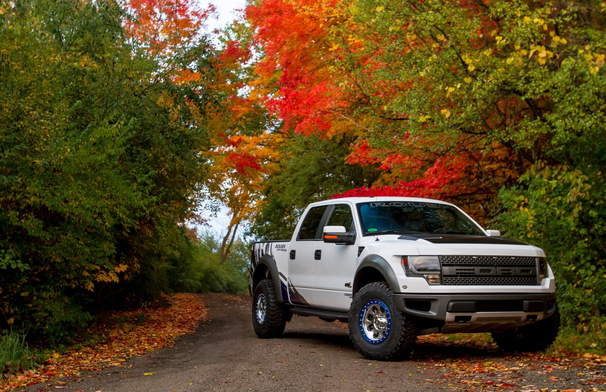 tuning, performance, 4x4, offroad, ford, 2012, phase 2, raptor, 1080P, roush, HD Wallpaper