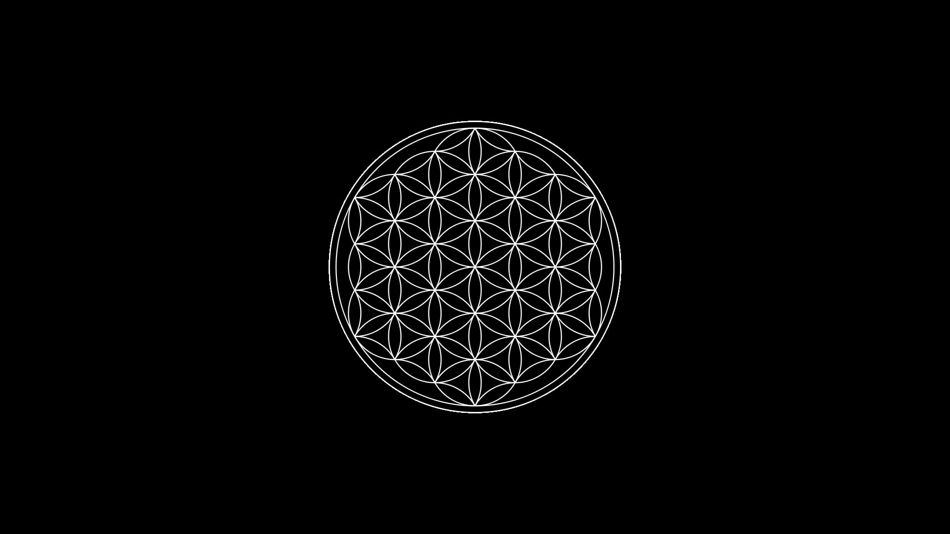 black background, Flower of Life, 1080P, minimalism, sacred geometry, symbols, circle, HD Wallpaper