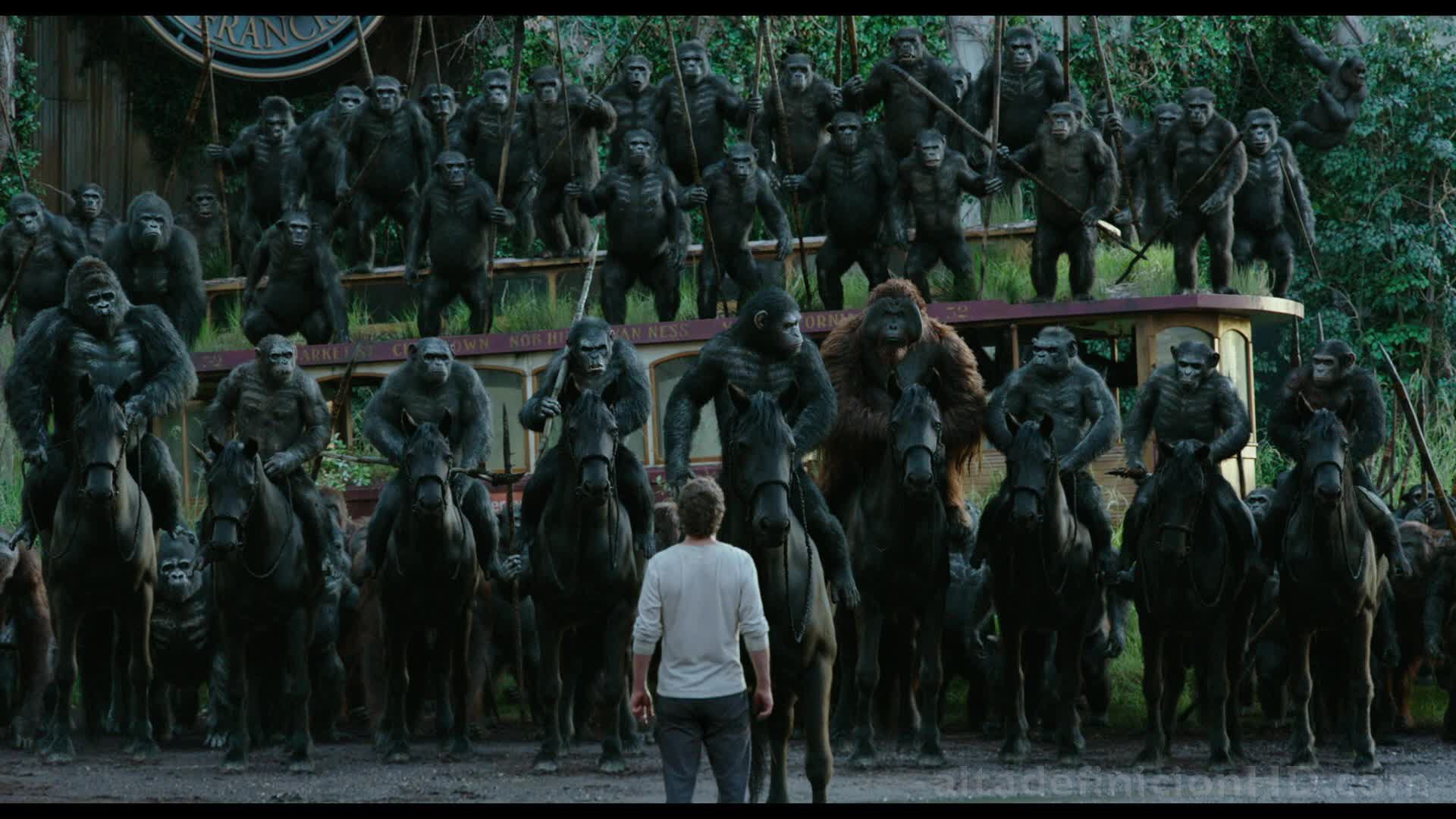 ficcion, simios, 1080P, pelicula, amanecer, planeta, ciencia, los, HD Wallpaper