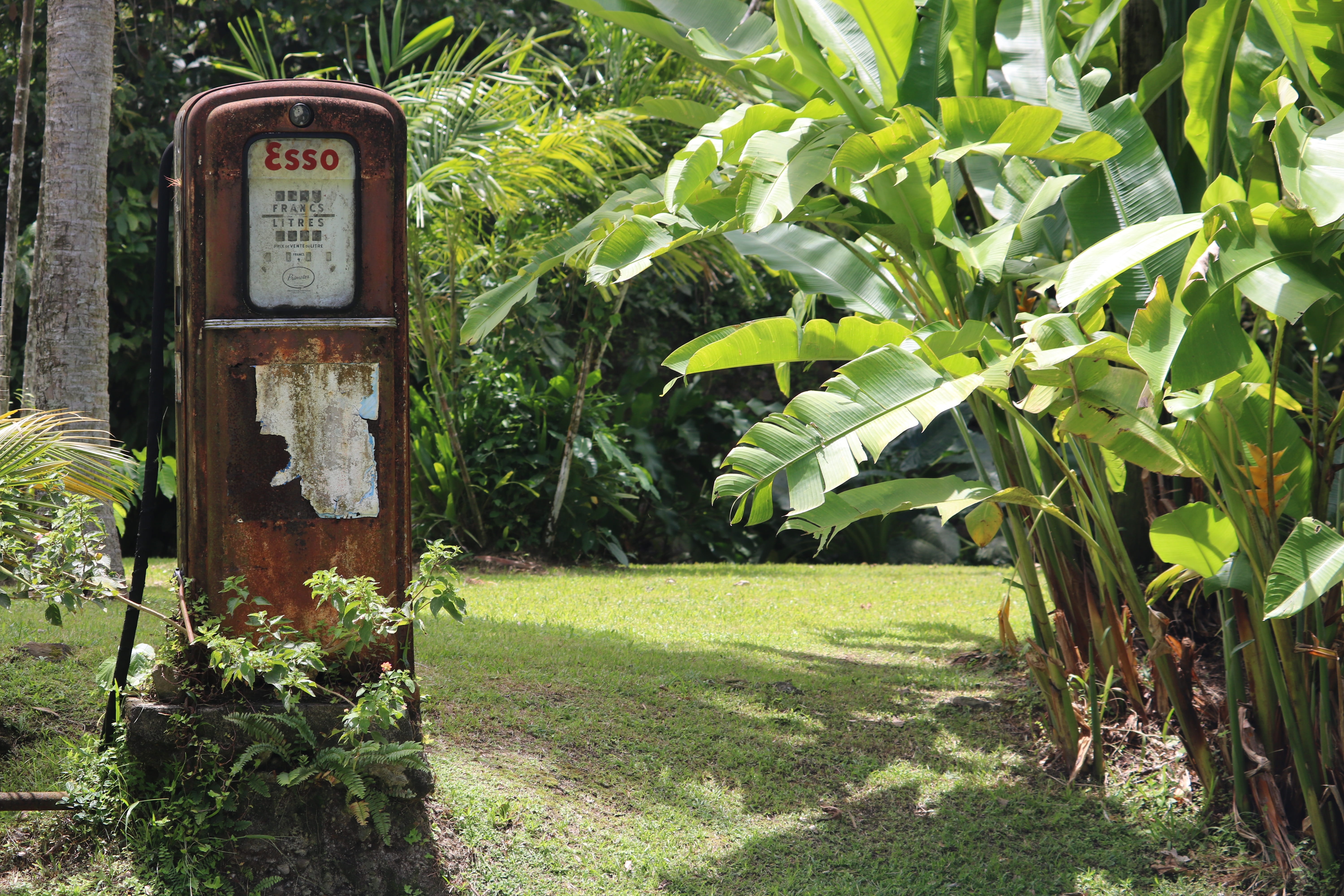 diesel fuel, architecture, western script, green color, leaf, day, tropical, information, pump, gasoline, former, beauty in nature, outdoors, text, 5K, HD Wallpaper