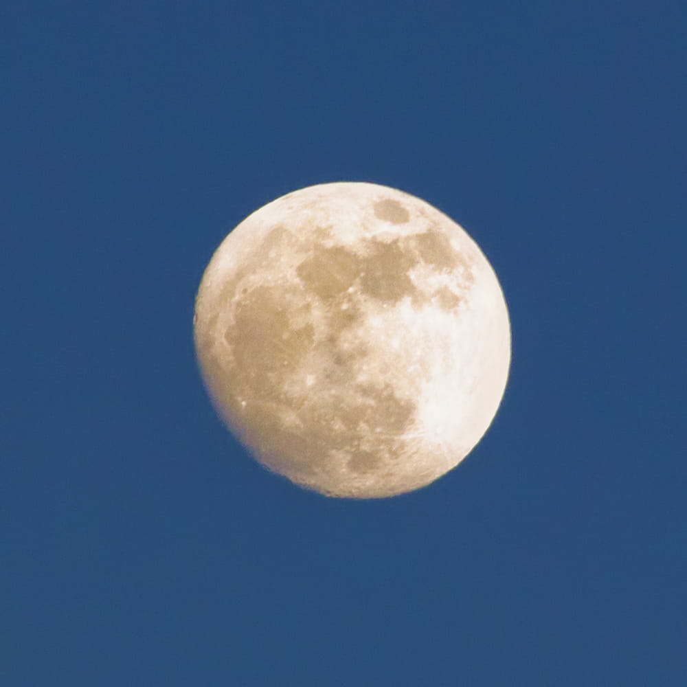 moon, no people, moonlight, 480P, blue, planetary moon, copy space, clear sky, tranquility, magnification, moonshine, photography, sky, astronomy, planetary, Phone HD Wallpaper
