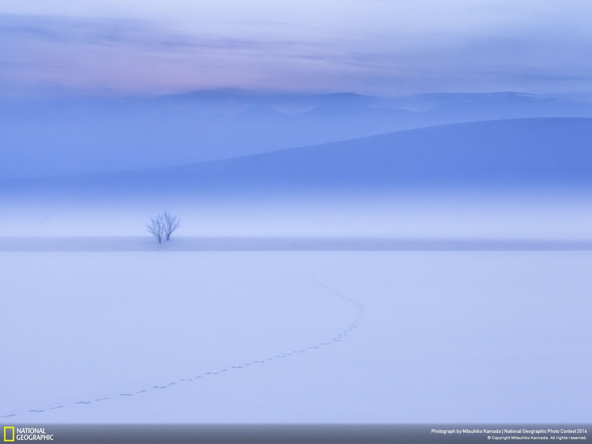 1080P, geographic, day, show, snow, environment, hokkaido, cloud - sky, clouded, tv, nature, tree, water, national, winter, tranquil scene, HD Wallpaper
