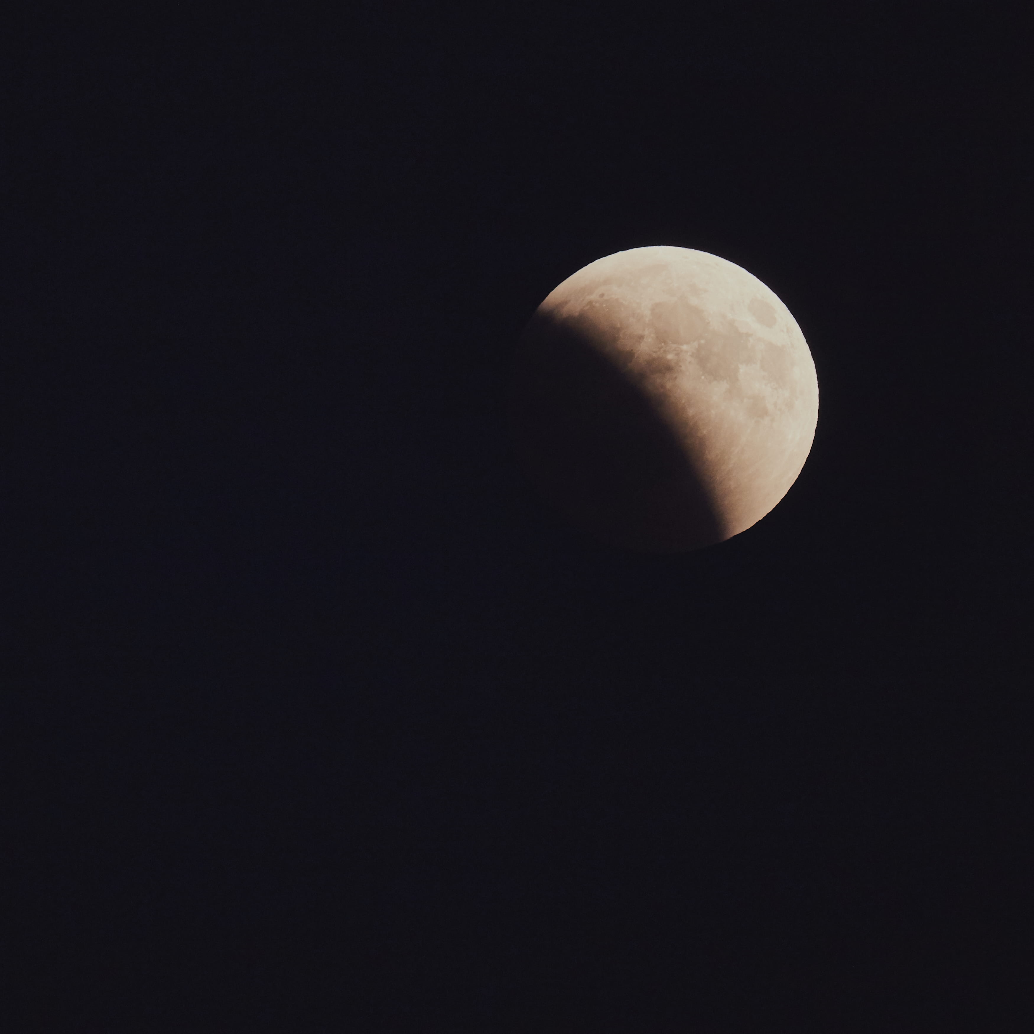 backgrounds, single Object, brown, 2K, close-up, half, nature, moon eclipse, moon, food, no People, sky, eclipse, dark, partial, night, black Background, Phone HD Wallpaper