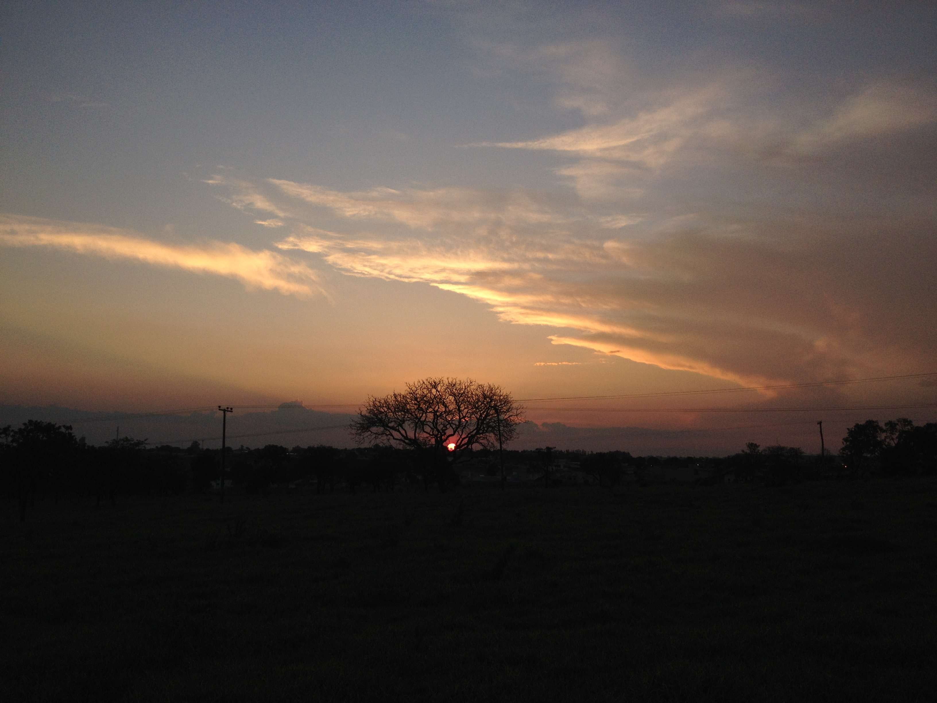 field, idyllic, sky, tree, scenics - nature, orange color, silhouette, sol noite, tranquility, nature, cloud - sky, outdoors, beauty in nature, no people, HD Wallpaper