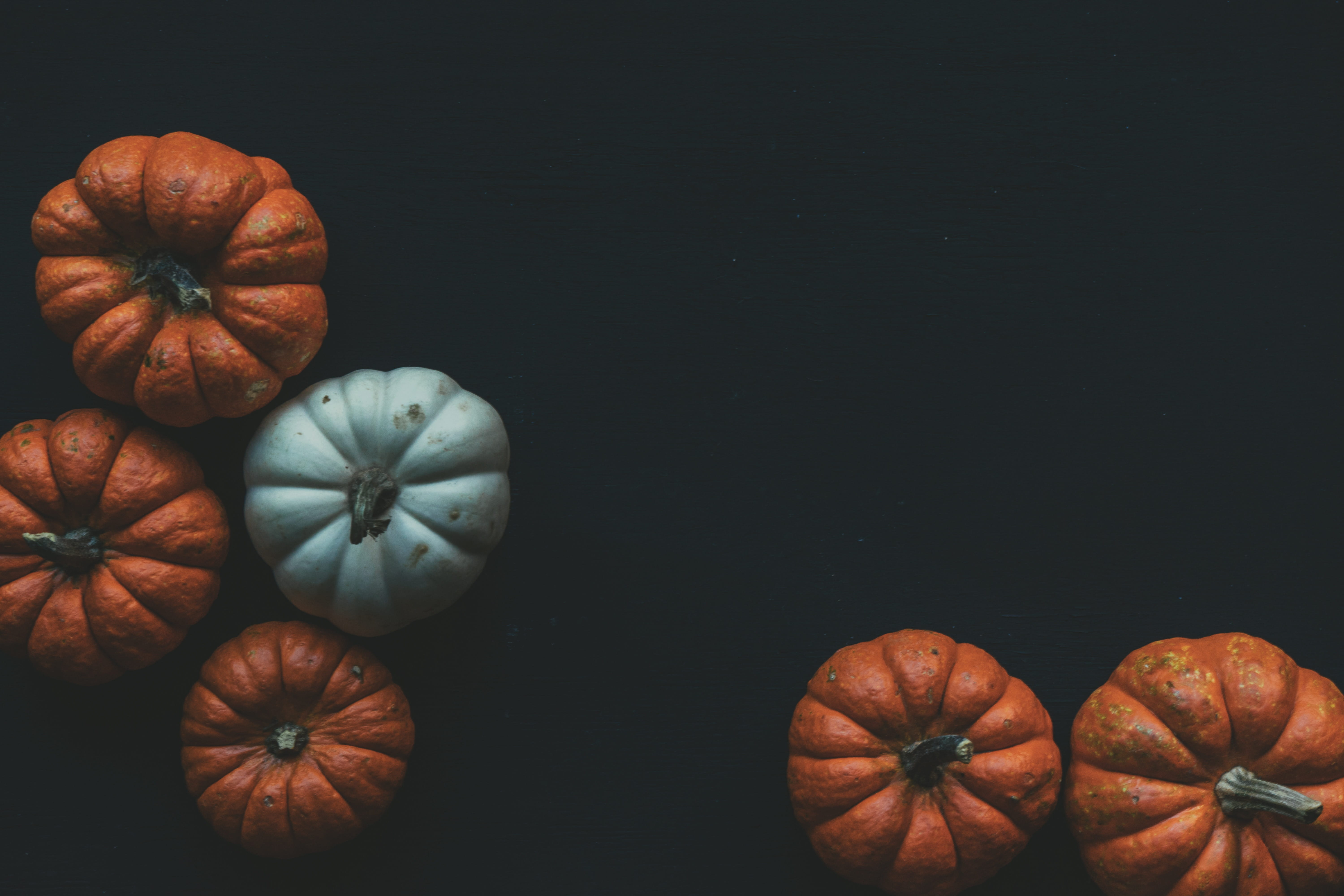 black background, harvest, freshness, blue, high angle view, copyspace, copy space, indoors, pumpkins, directly above, orange, halloween, food, farming, HD Wallpaper