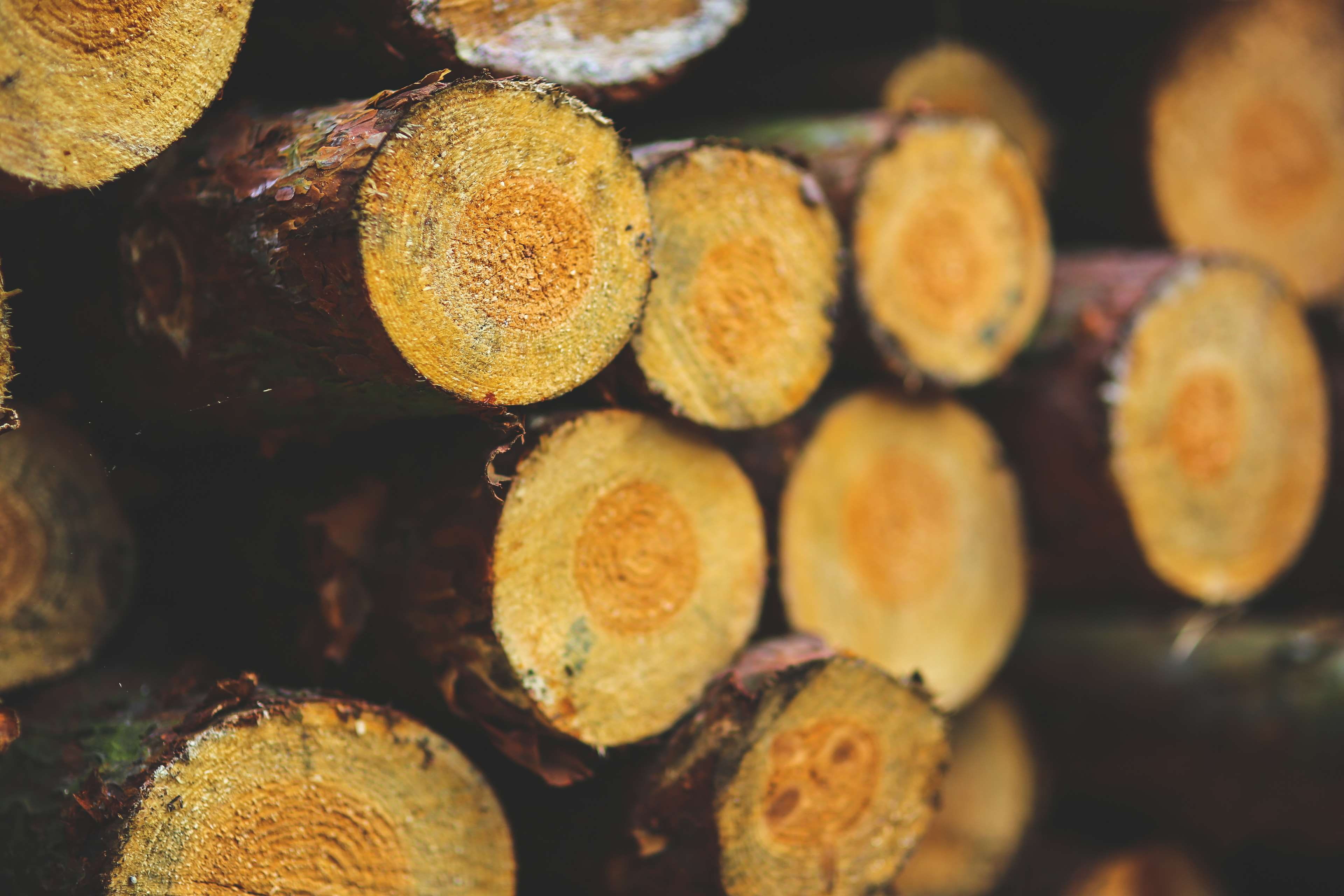 health, healthy, close-up, stack, 4K, food, round out, color, no people, cut, wood, large group of objects, fall, log, fruit, energy, wooden, backgrounds, HD Wallpaper