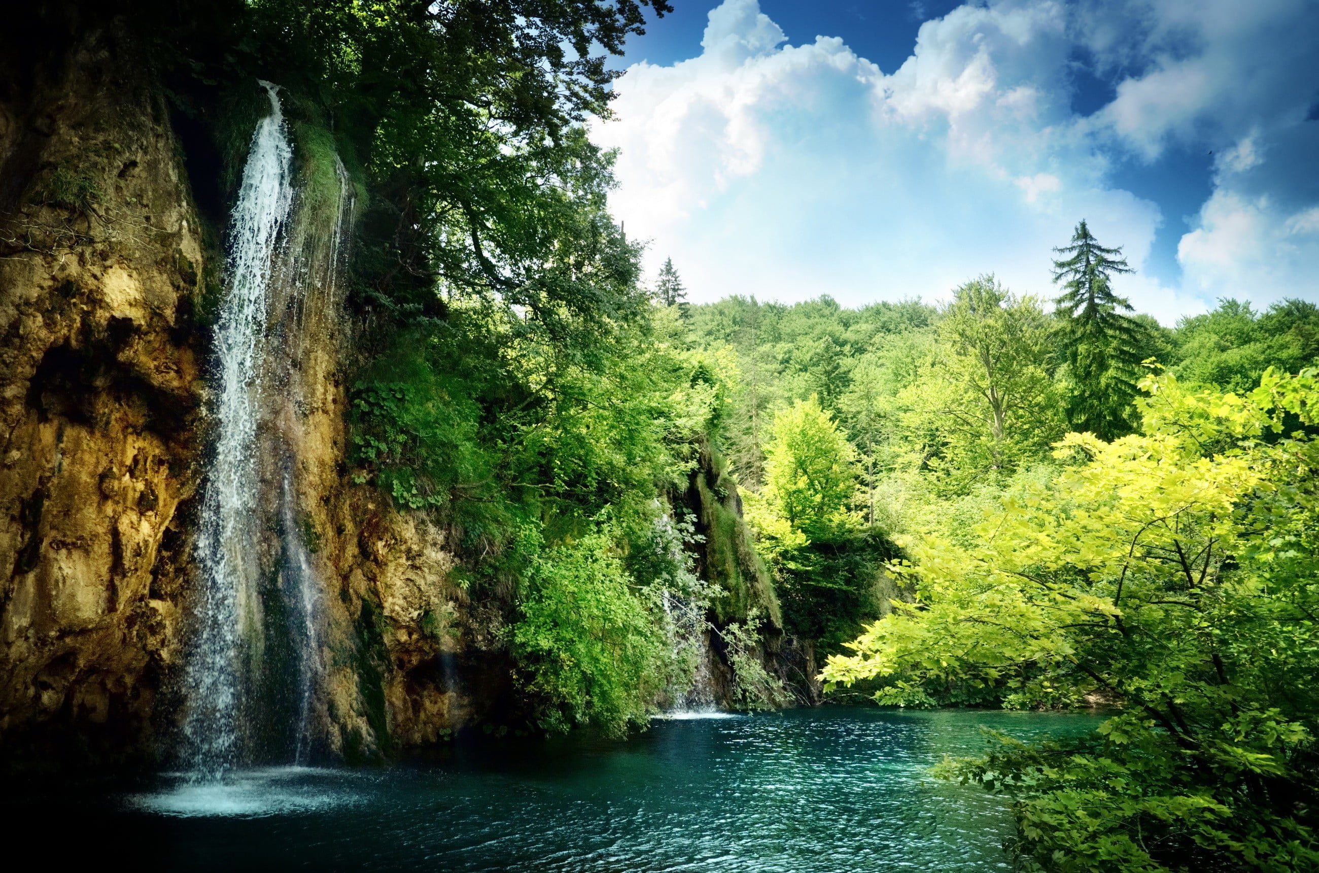 rainforest, tree, 2K, green color, nature, motion, flowing water, land, forest, flowing, sky, falling water, beauty in nature, river, outdoors, landscape, HD Wallpaper