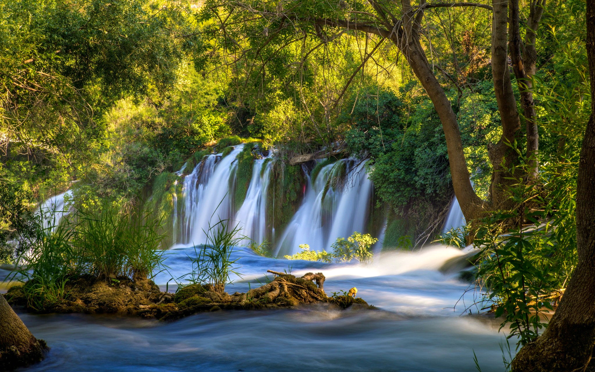 1080P, motion, falling water, power in nature, blurred motion, environment, tree, stream, beauty in nature, green color, outdoors, flowing, waterfalls, HD Wallpaper