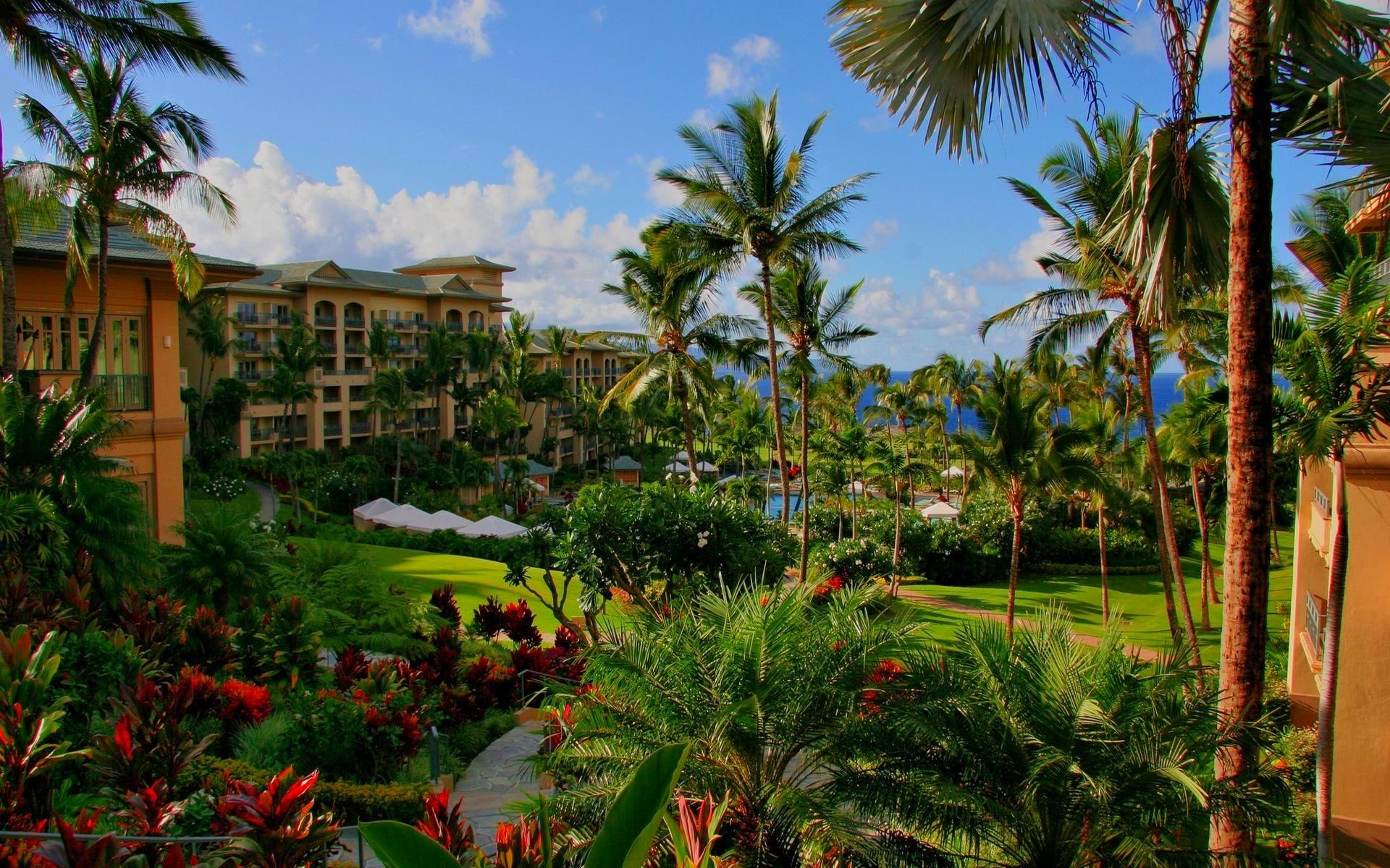 road, 1080P, houses, hotel, animals, flowers, beautiful, hawaii, swimming pool, palms, plants, HD Wallpaper