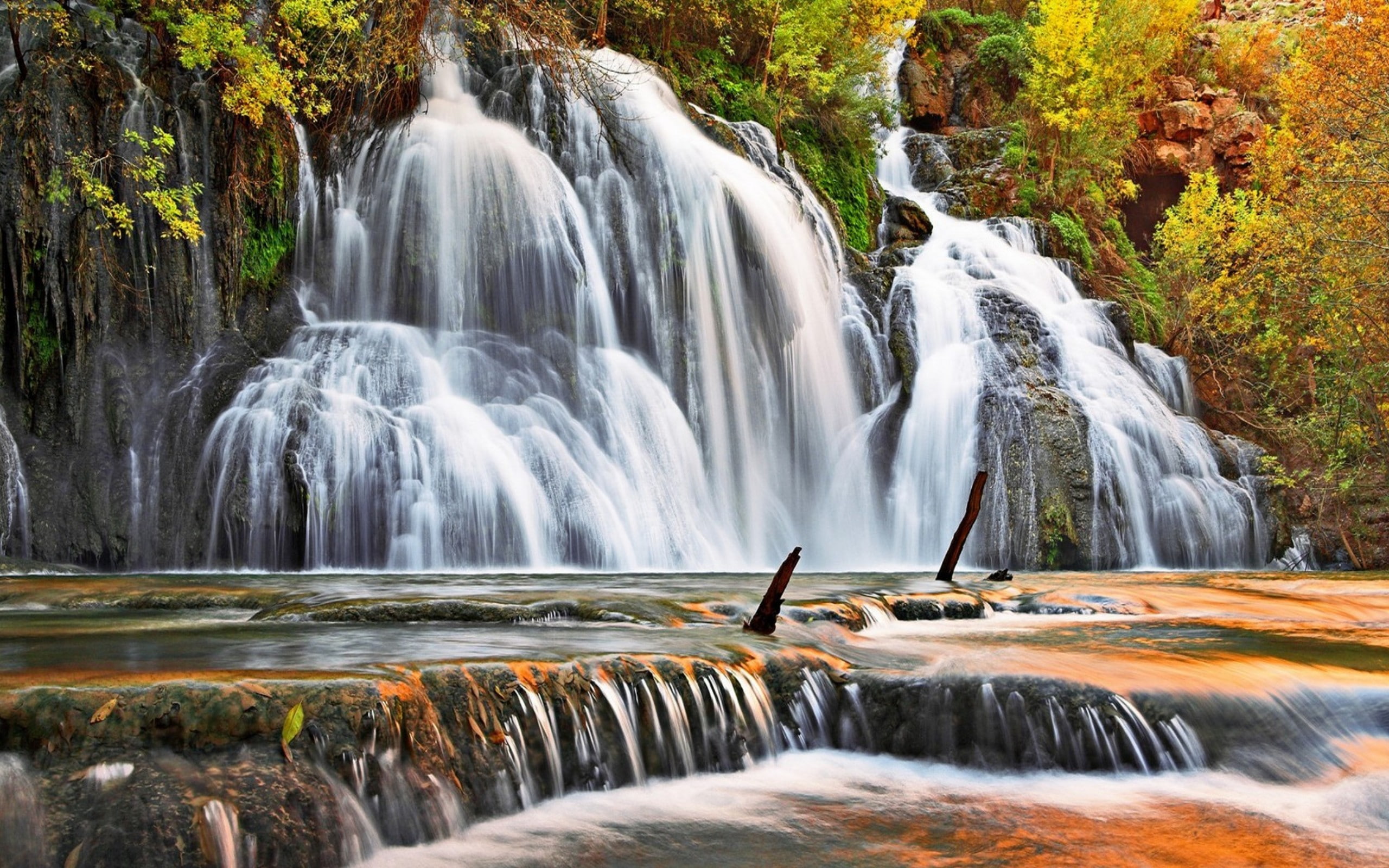 desktop, high, ultra, trees, 2K, autumn, red, resolution, waterfall, cascade, hd, yellow, leaves, HD Wallpaper