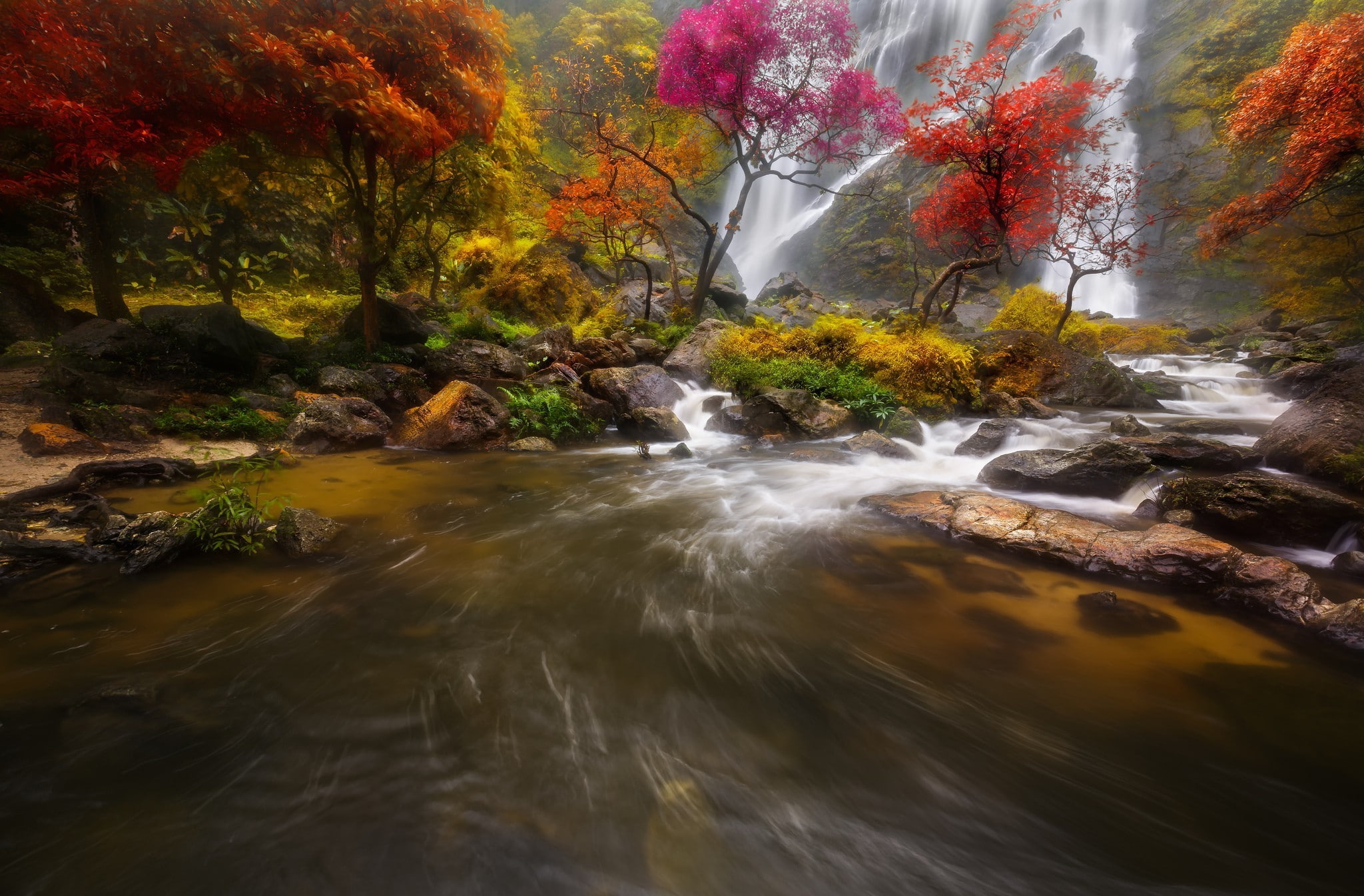 stream - flowing water, outdoors, change, long exposure, day, rock, blurred motion, tree, rock - object, 1080P, water, scenics - nature, autumn, beauty in nature, HD Wallpaper