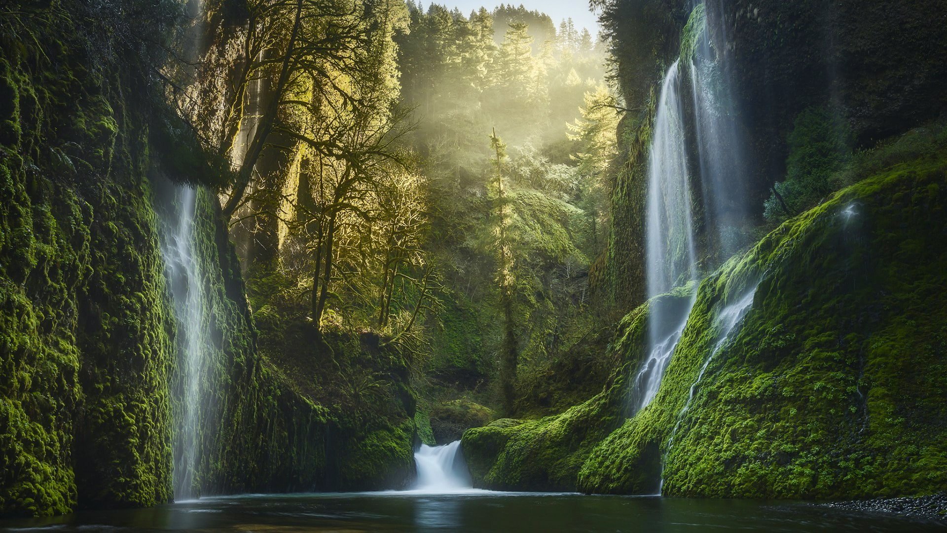 waterfall, moss, united states, eagle creek, columbia river gorge, body of water, oregon, columbia gorge, eagle creek canyon, columbia river gorge national scenic area, HD Wallpaper