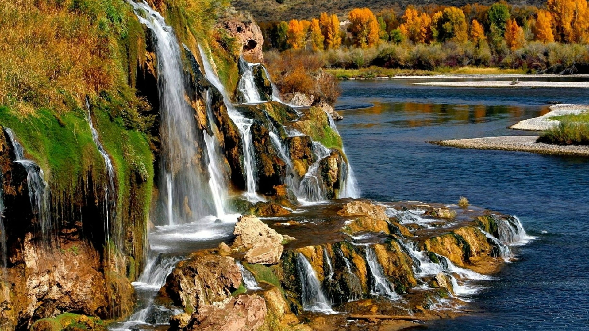 flowing water, motion, stream, water, nature, landscape, tranquil scene, leaf, river, autumn, tree, flowing, beauty in nature, solid, 1080P, rock, tranquility, HD Wallpaper