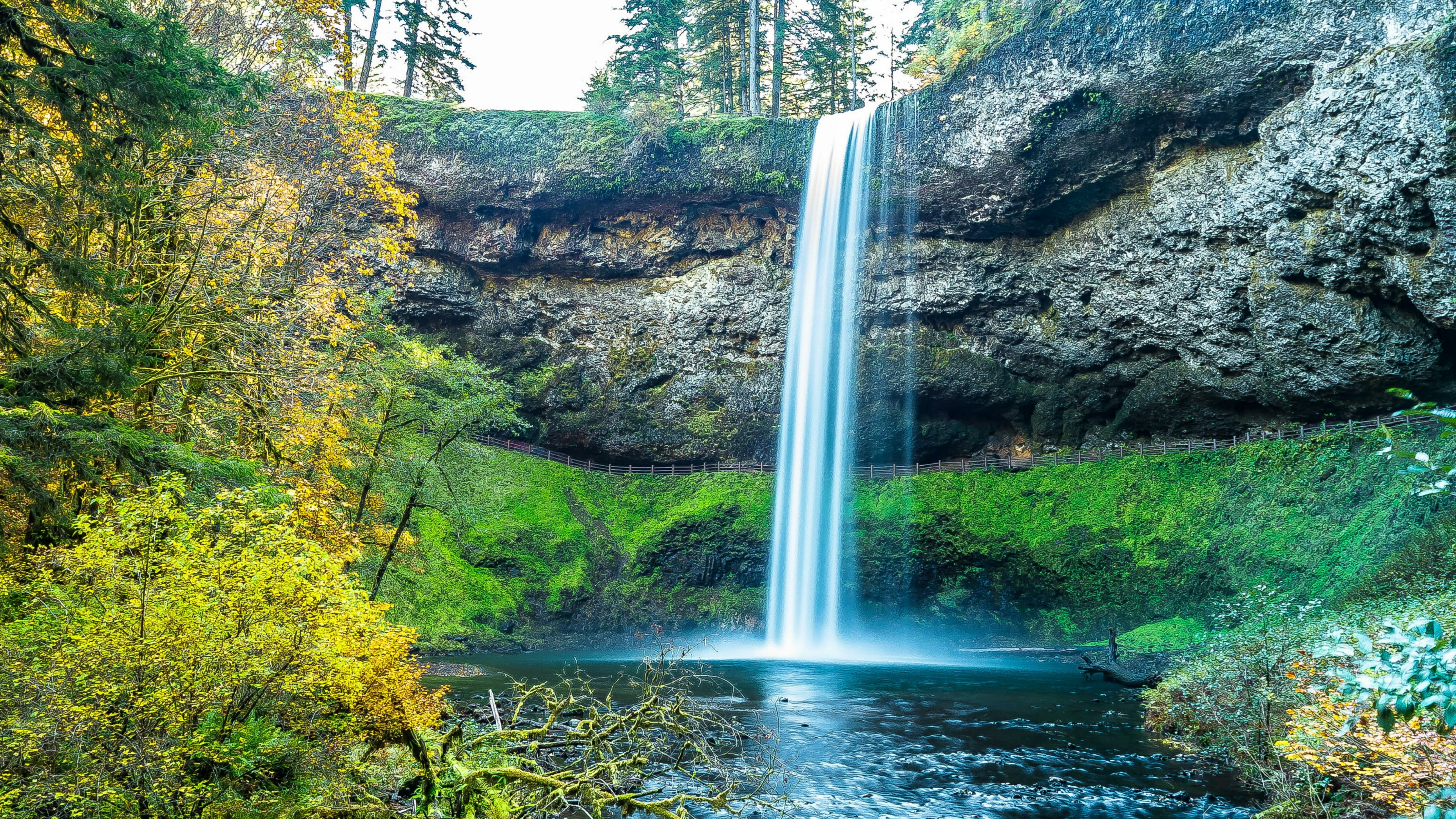 autumn, state park, day, water, non-urban scene, land, silver falls state park, rock, no people, power in nature, body of water, plant, outdoors, tree, HD Wallpaper