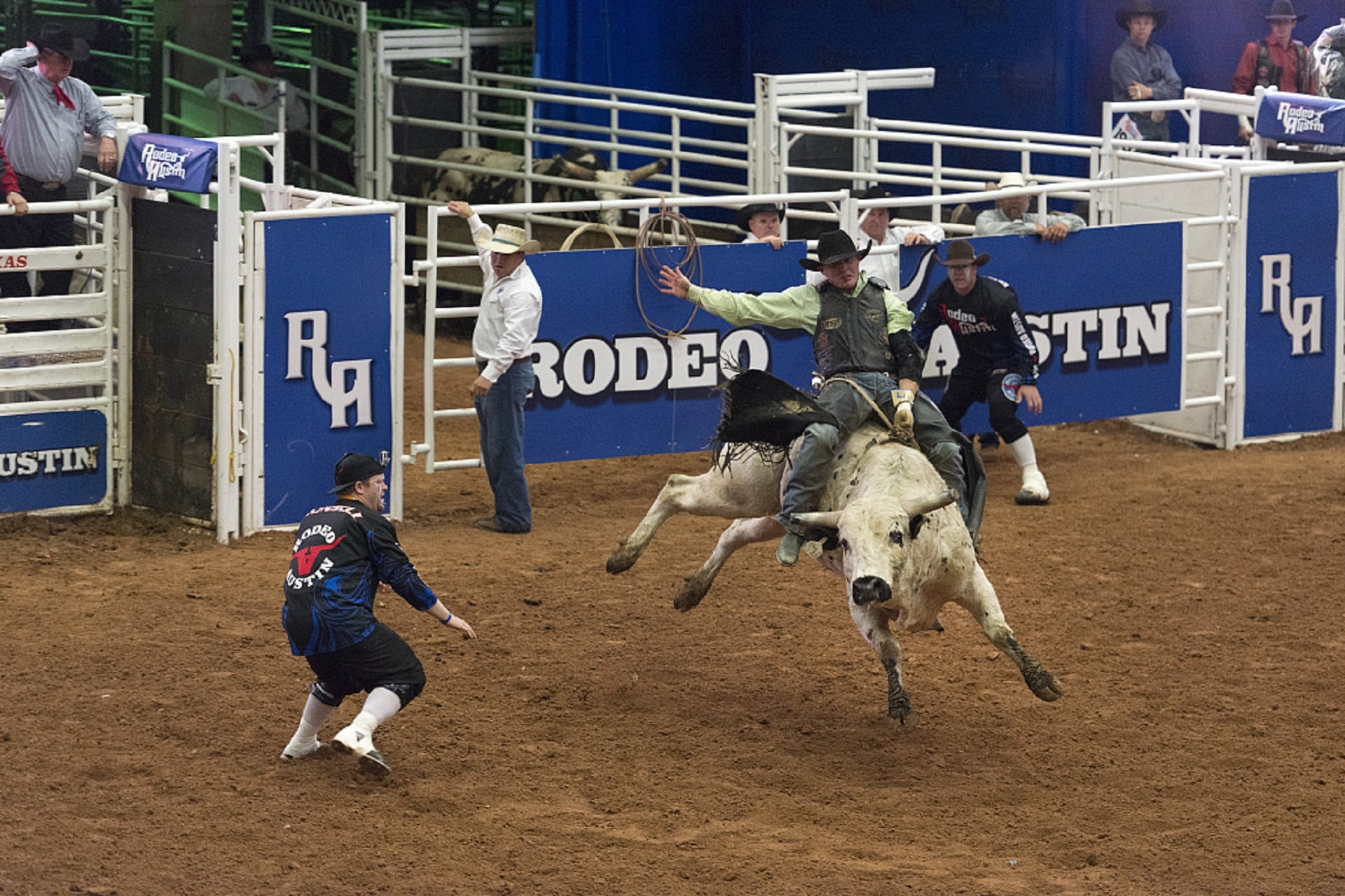 motion, full length, arena, usa, 1080P, cowboy, domestic animals, danger, man, bull, animal, real people, people, vertebrate, clown, texas, icon, riding, HD Wallpaper